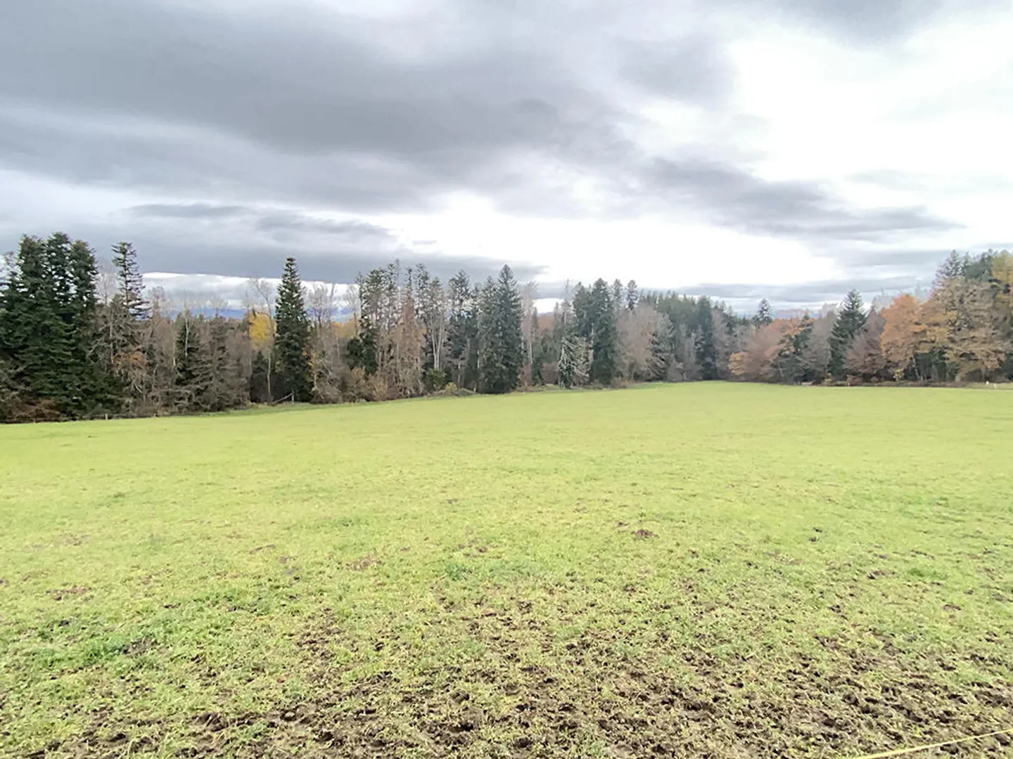 Charming Farm with Great Potential - Photo 6 of 6