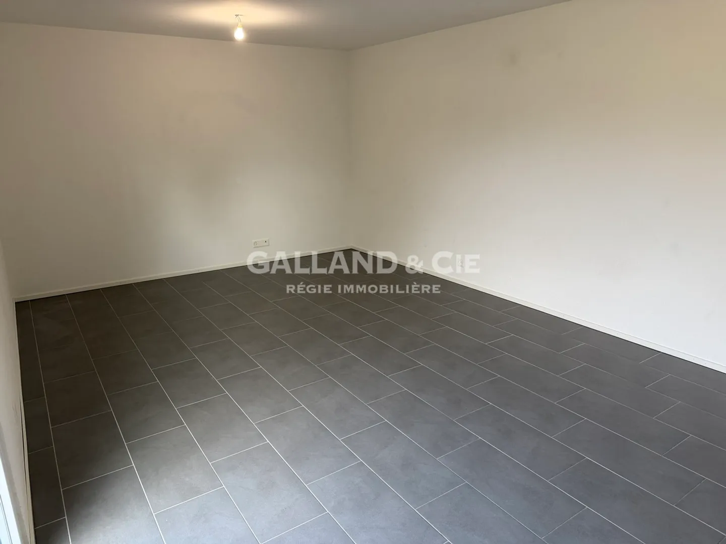 Studio 1 room - Photo 3 of 6