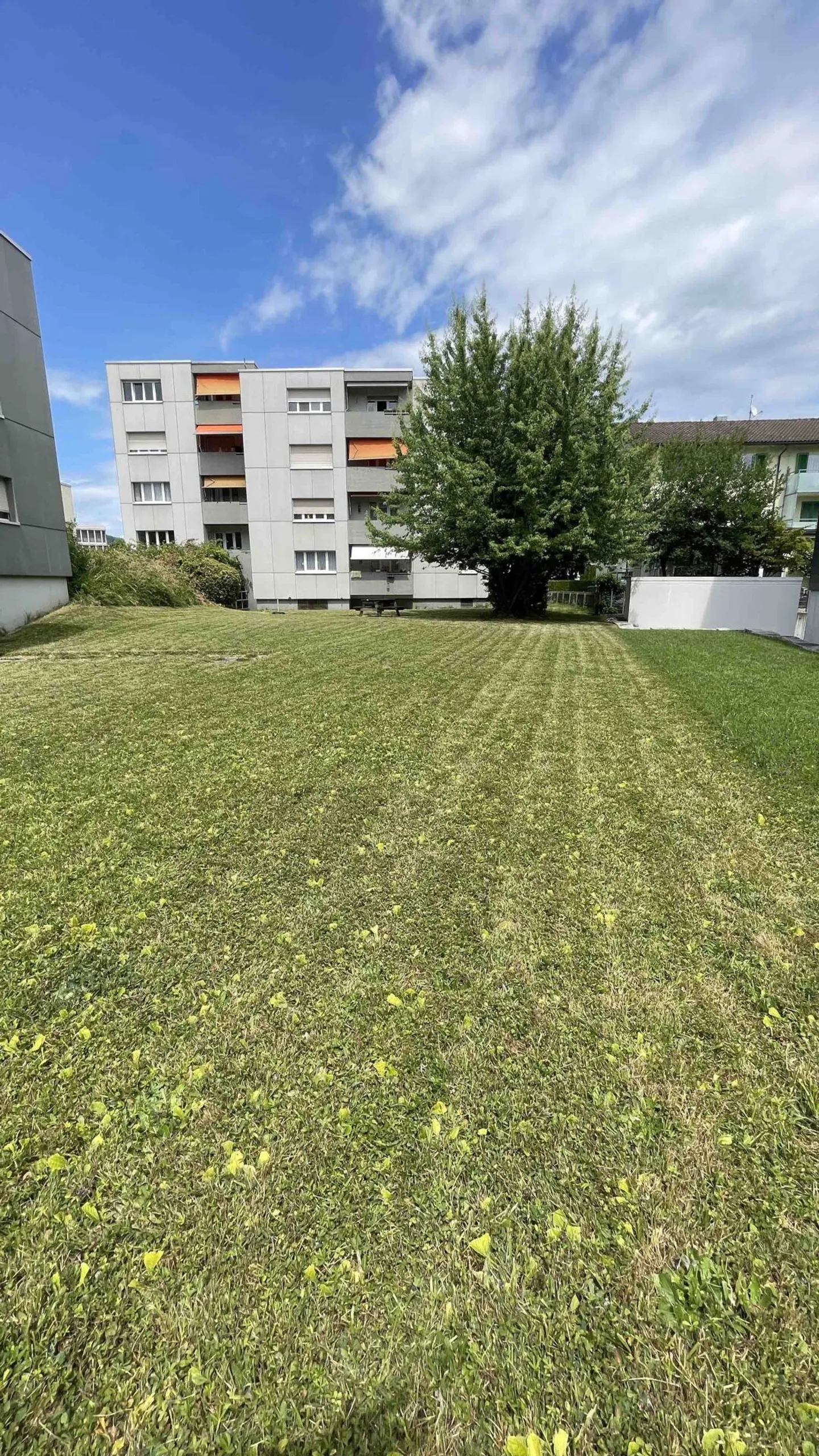 Appartement 3.5 pièces - Photo 11 sur 12