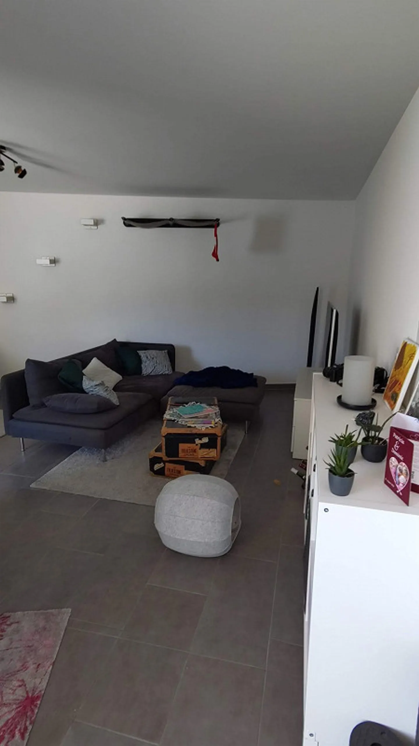 Appartamento 2,5 locali con balcone - Foto 6 di 17