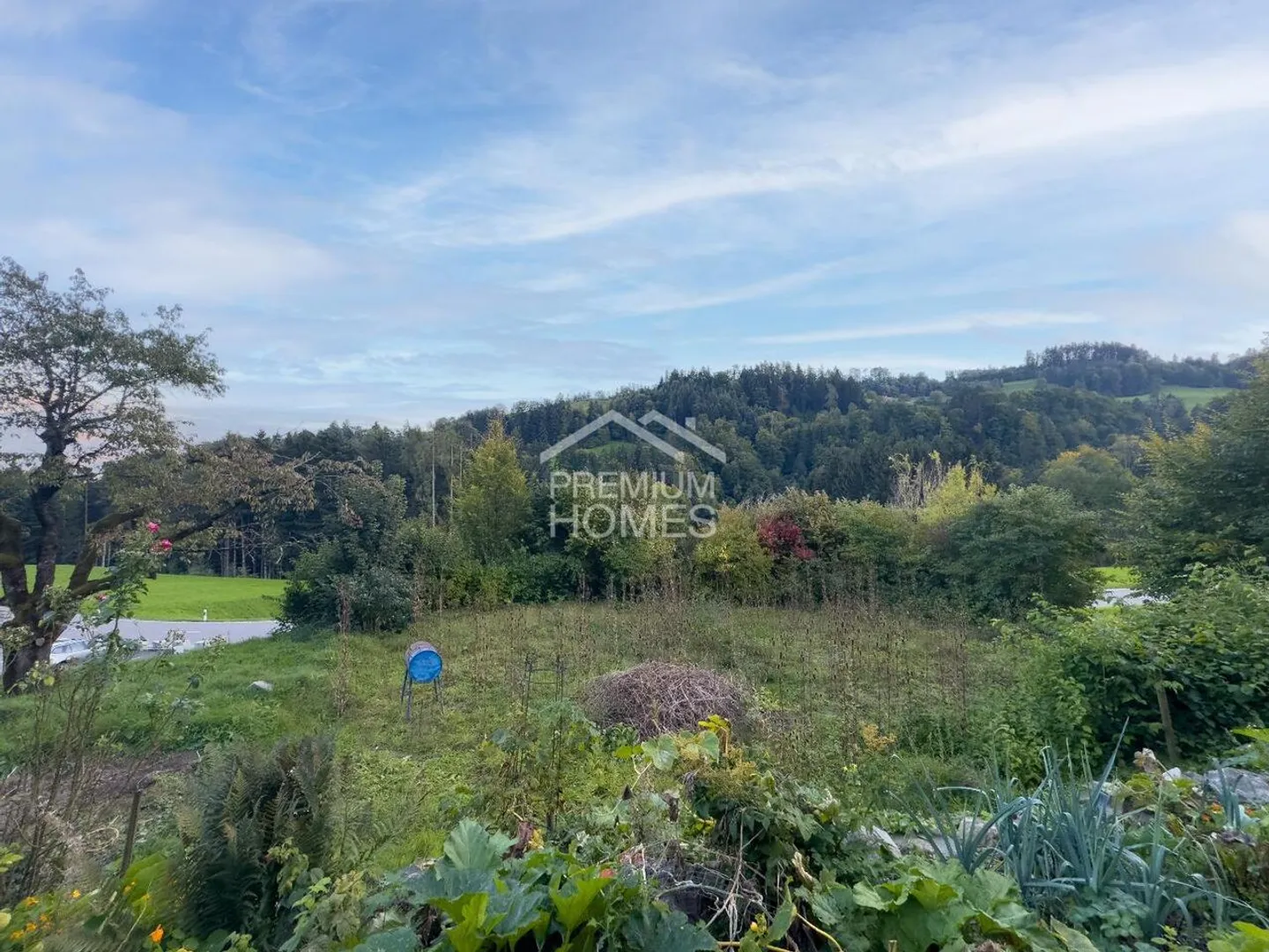 2 per 1 - Foto 3 di 4