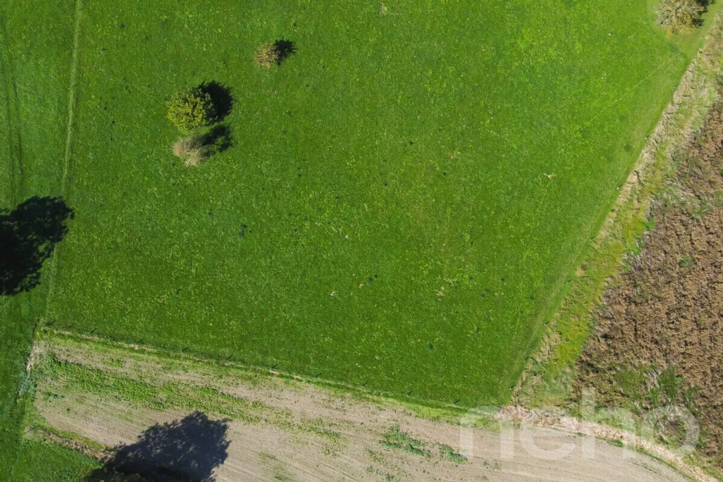 „Seltene Gelegenheit: großes Grundstück mit Baupotenzial“ - Foto 4 von 12