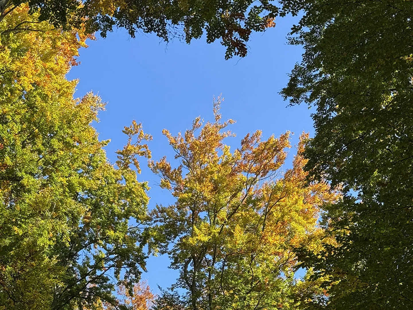 Charming 5.5 Room House - Photo 3 of 3