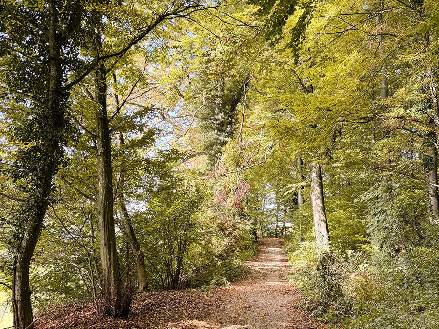Charming 5.5 Room House - Photo 1 of 3