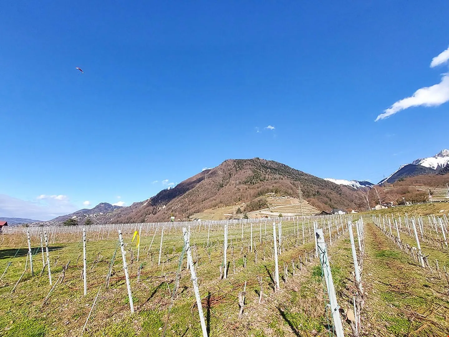 VILLENEUVE - APPARTAMENTO CON GIARDINO - 5,5 LOCALI - Foto 3 di 3