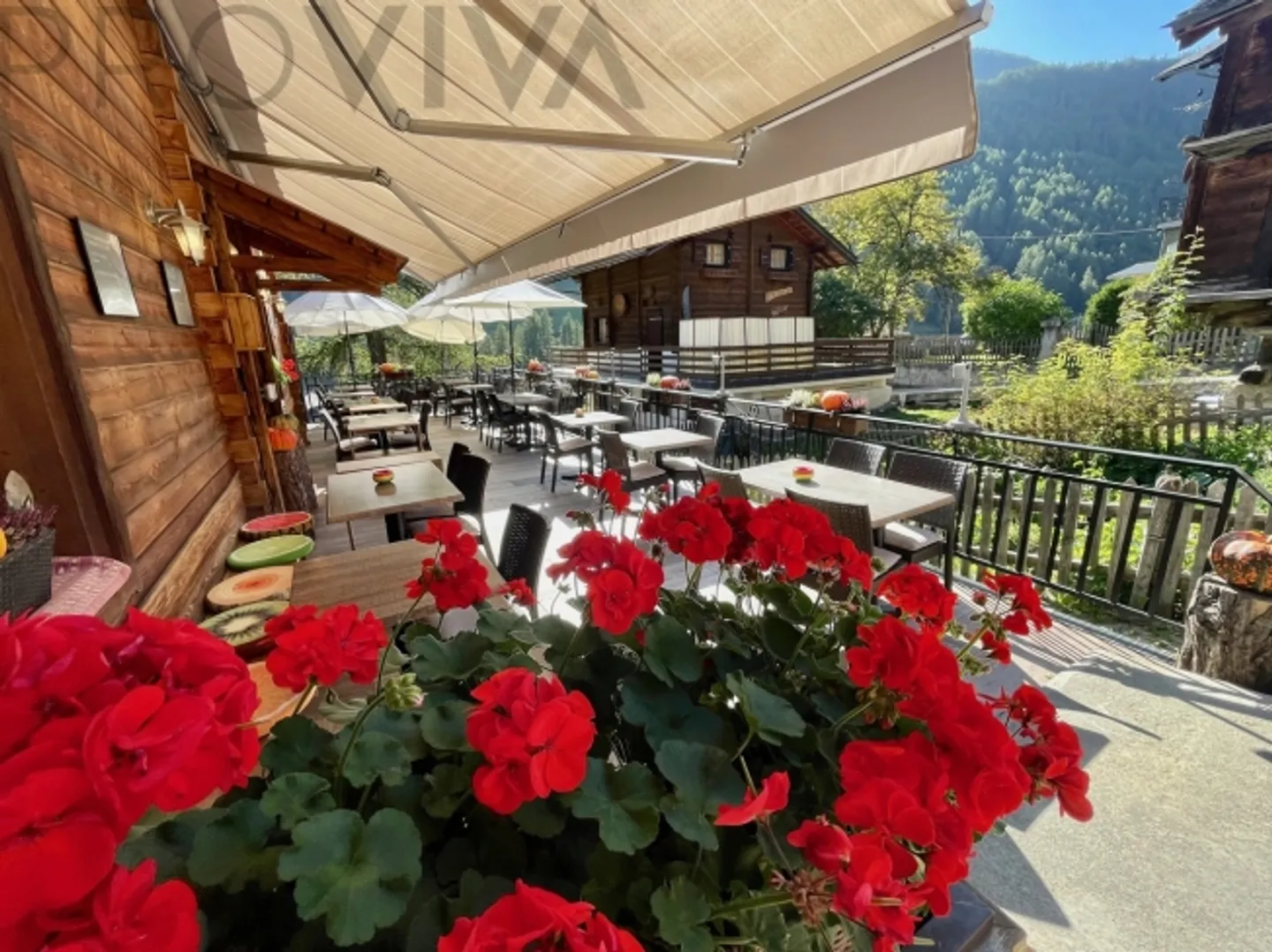 Mountain Gastronomy, where authenticity serves as a backdrop - Photo 6 of 14