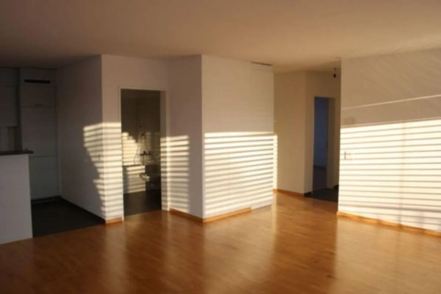 Appartement penthouse ensoleillé de 3,5 pièces - Photo 4 sur 12