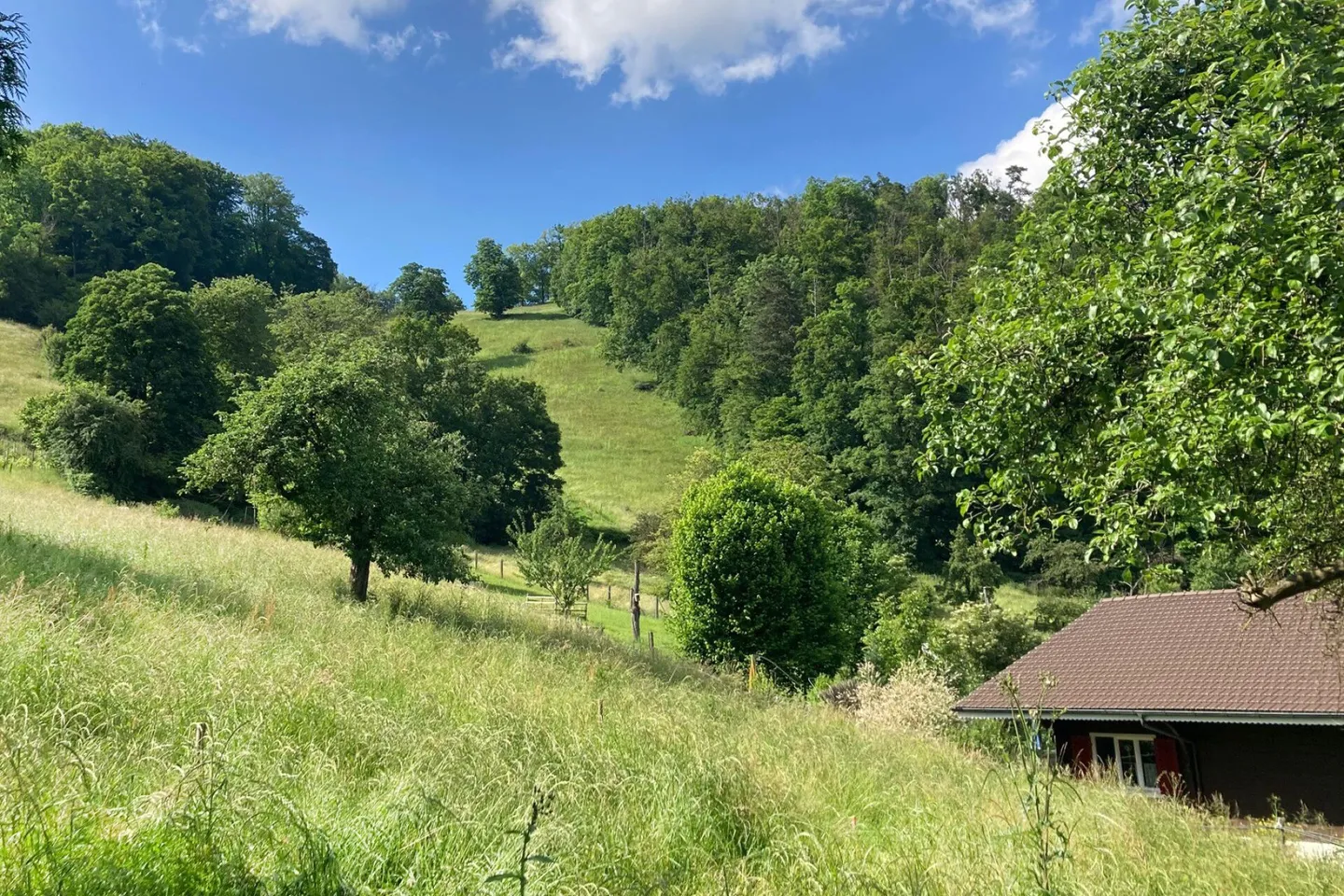 Terreno edificabile al margine della foresta con vista - Foto 4 di 8