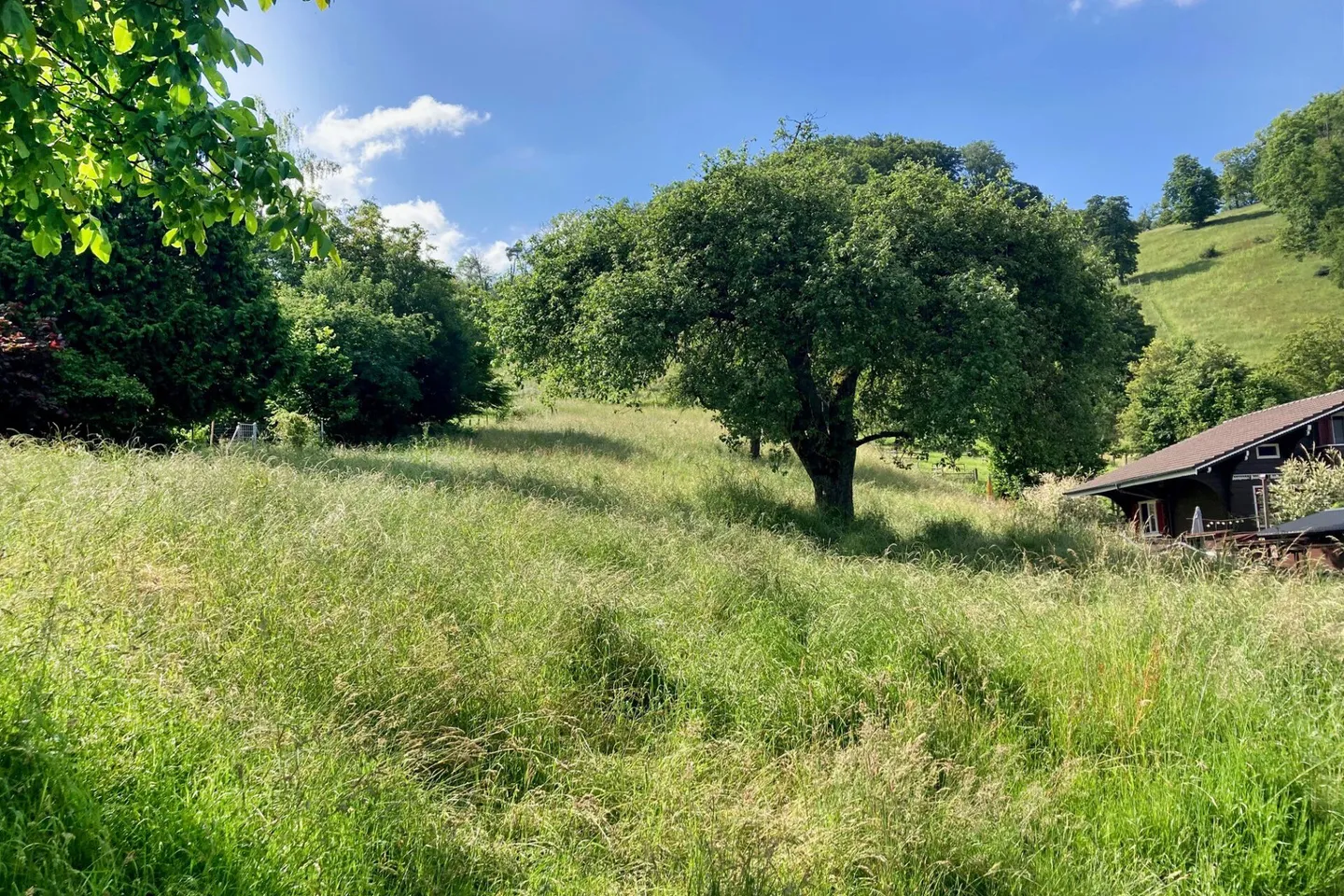 Terreno edificabile al margine della foresta con vista - Foto 5 di 8