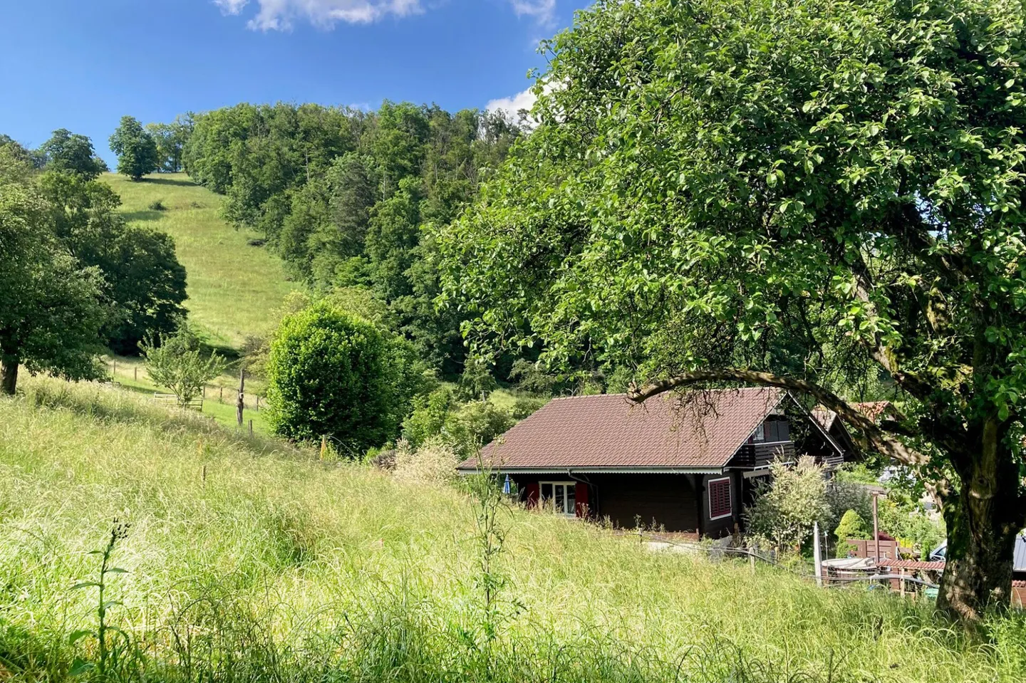 Terreno edificabile al margine della foresta con vista - Foto 6 di 8
