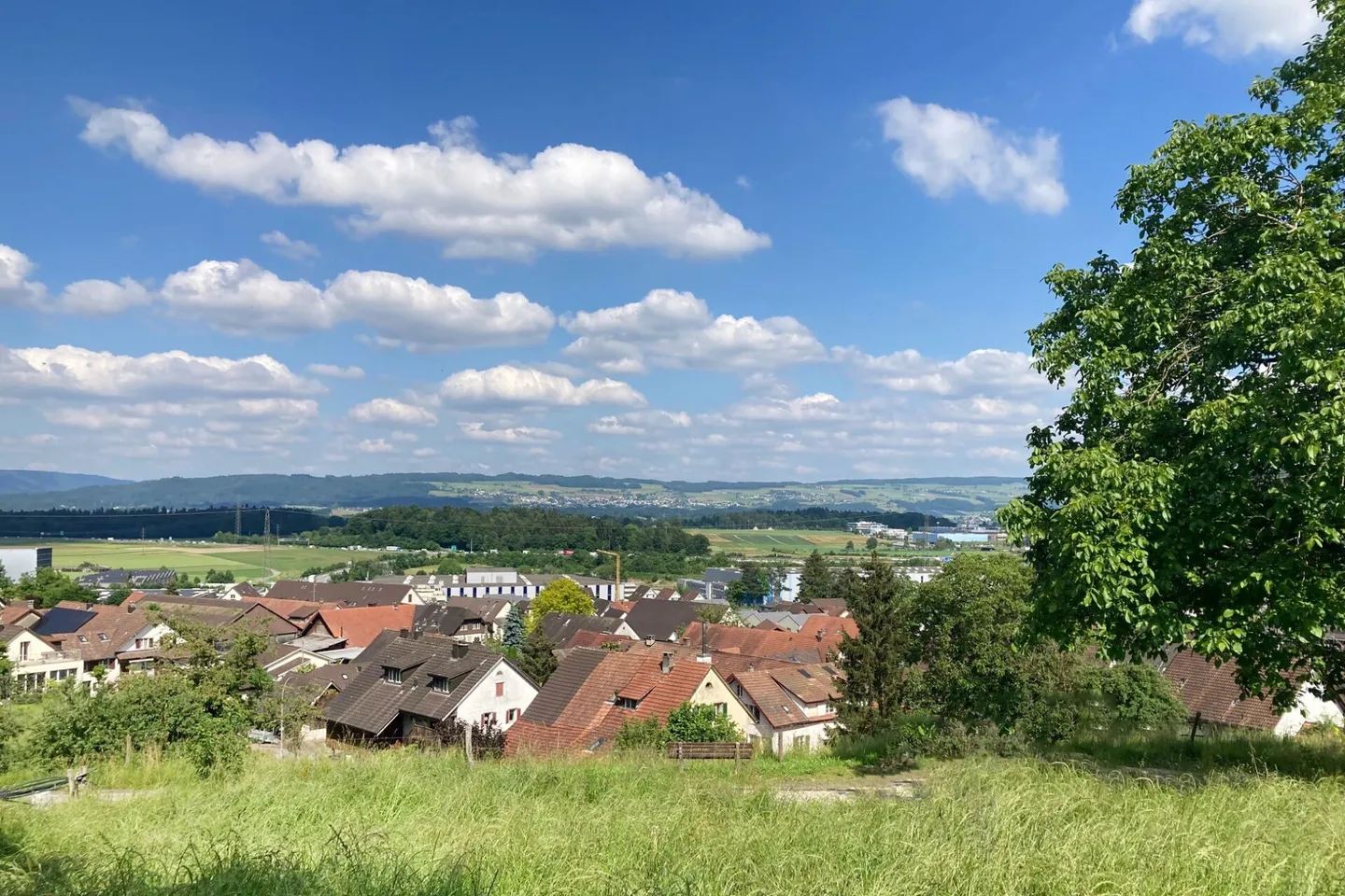 Terreno edificabile al margine della foresta con vista - Foto 1 di 8