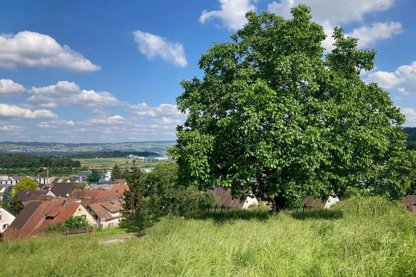 Terreno edificabile al margine della foresta con vista - Foto 3 di 8