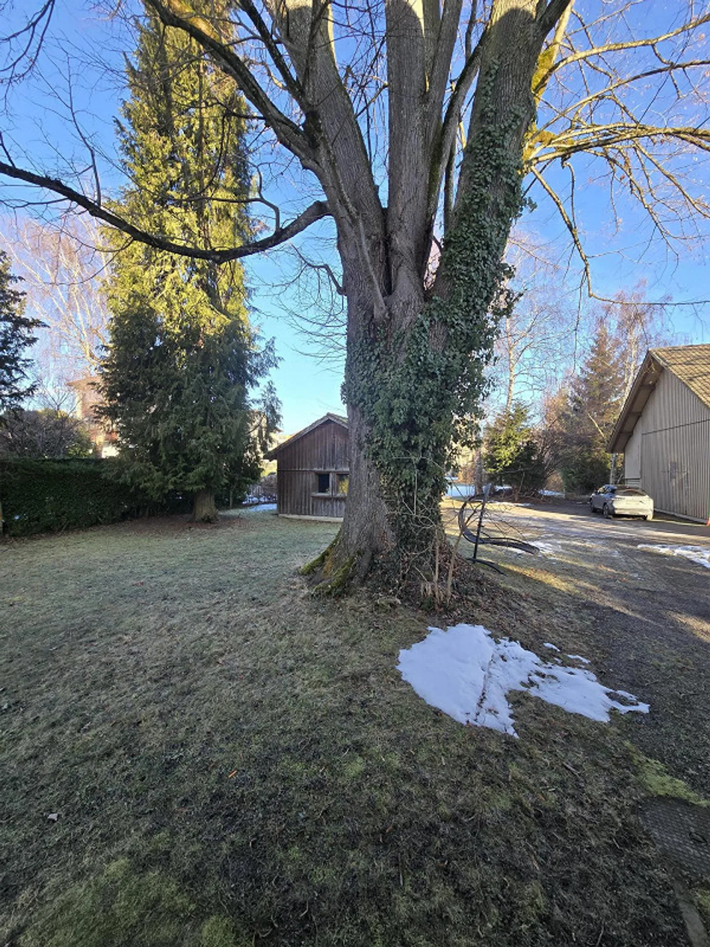 Newly renovated apartment in the green - Photo 5 of 5
