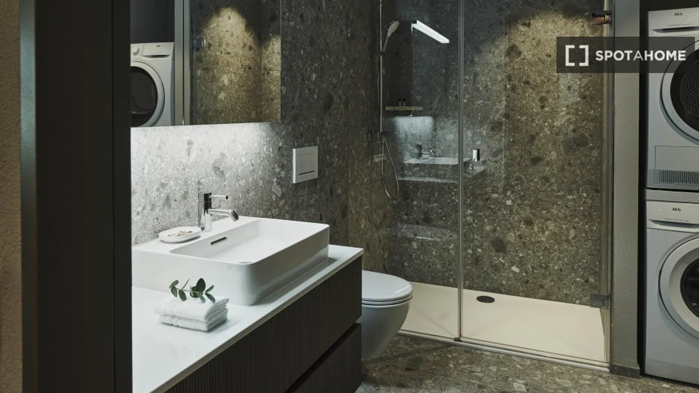 Modern Apartment in Zurich - Photo 5 of 18