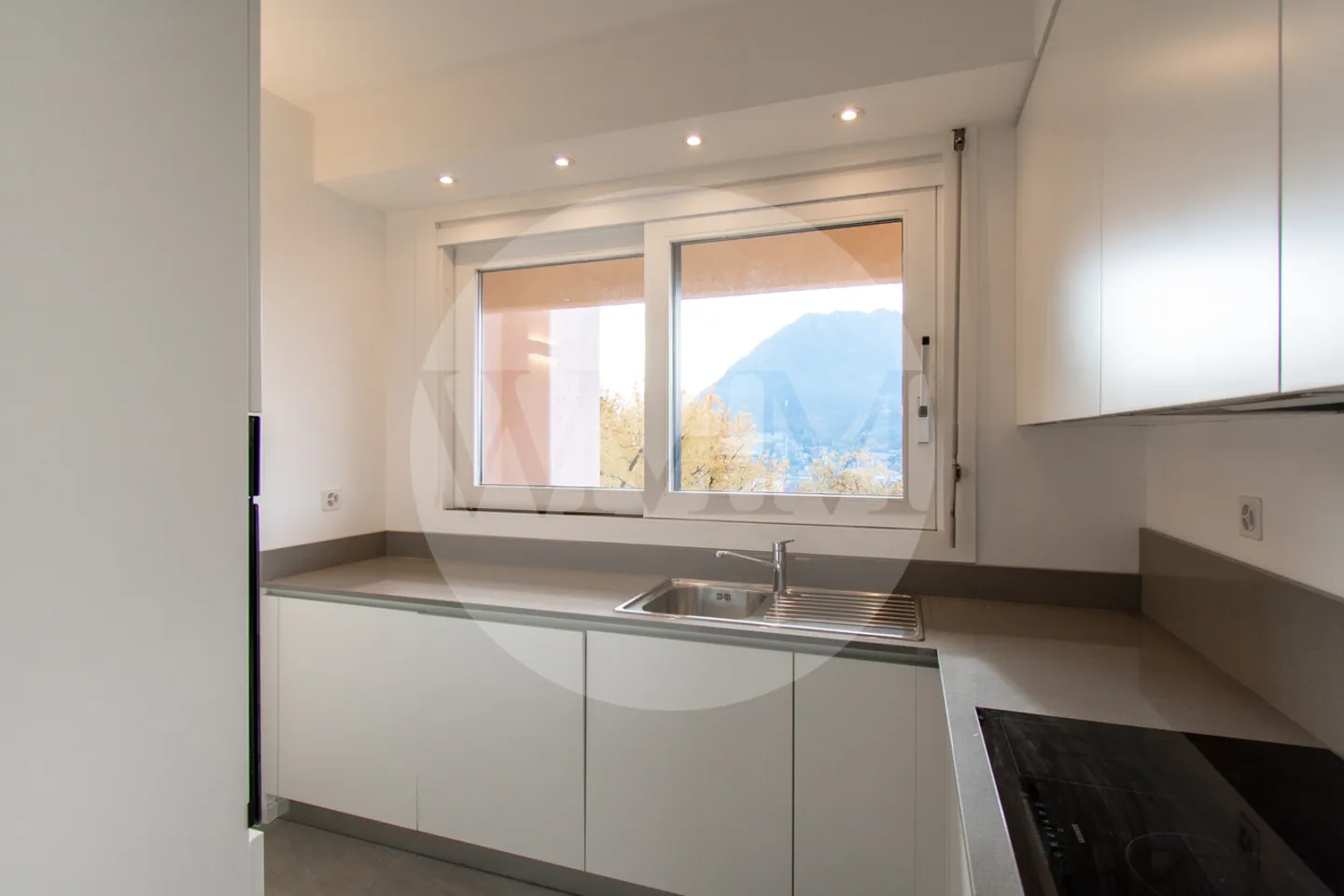 PENTHOUSE 3.5 ROOMS RENOVATED WITH FIREPLACE AND LAKE VIEW - Photo 9 of 19