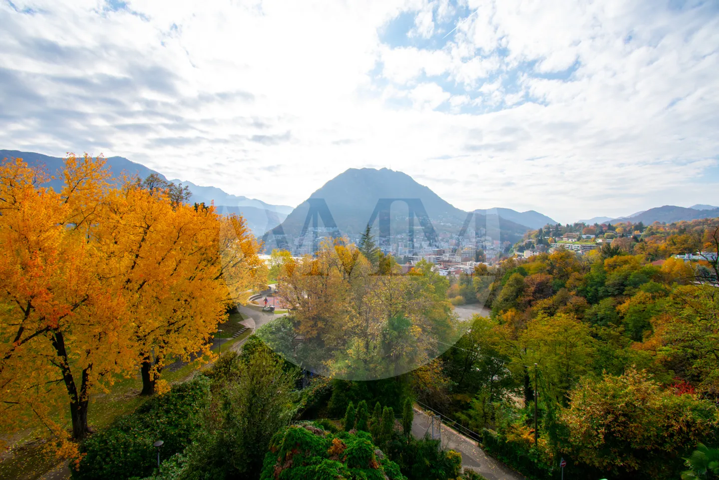 PENTHOUSE 3.5 ROOMS RENOVATED WITH FIREPLACE AND LAKE VIEW - Photo 18 of 19