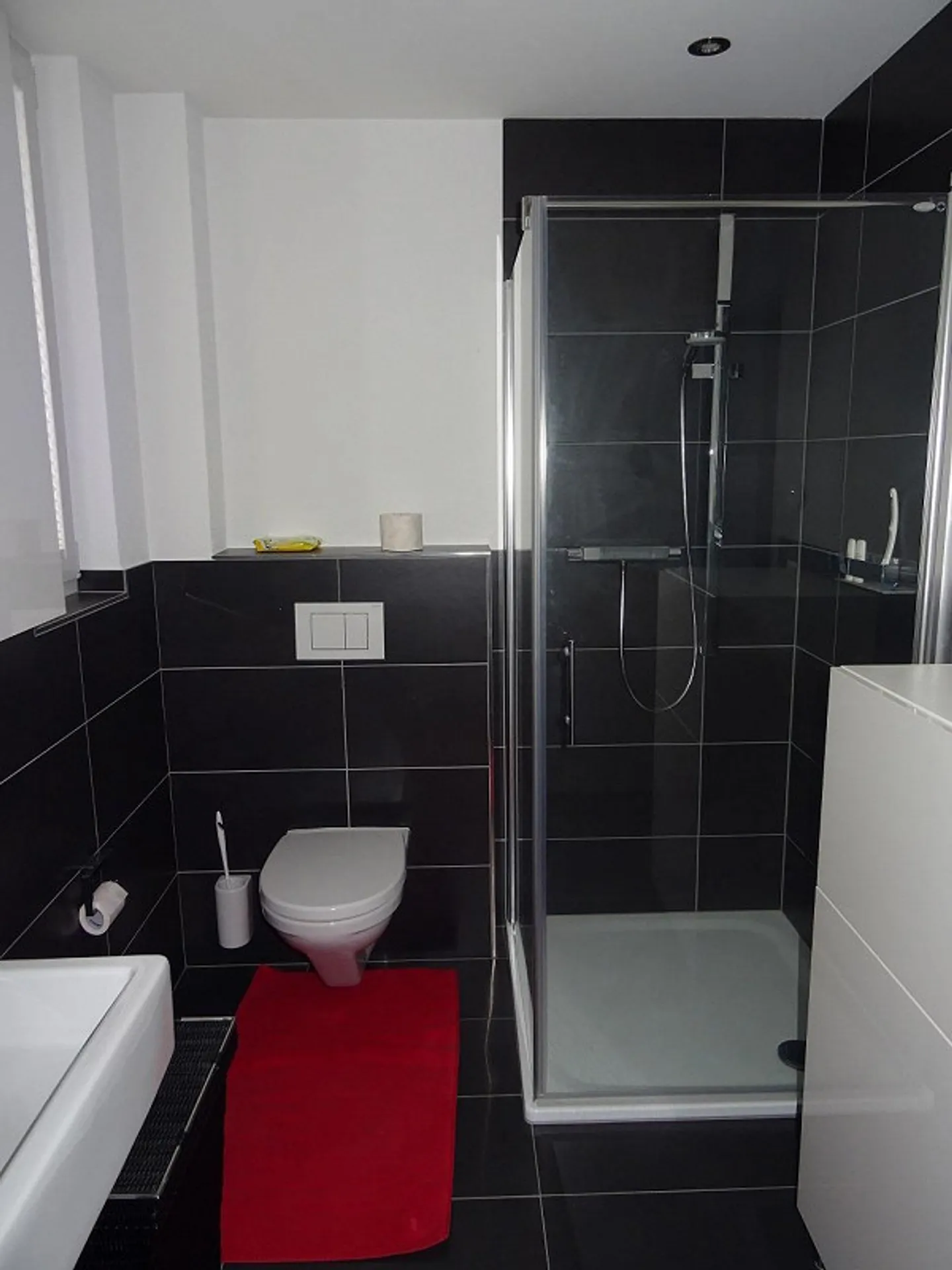 Appartamento 4.5 locali al piano terra con giardino condiviso - Foto 8 di 9