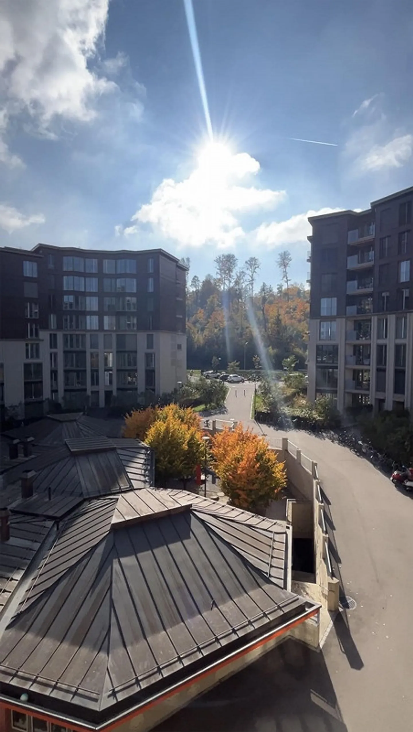 Appartement moderne spacieux avec balcon à Zurich - Photo 5 sur 7