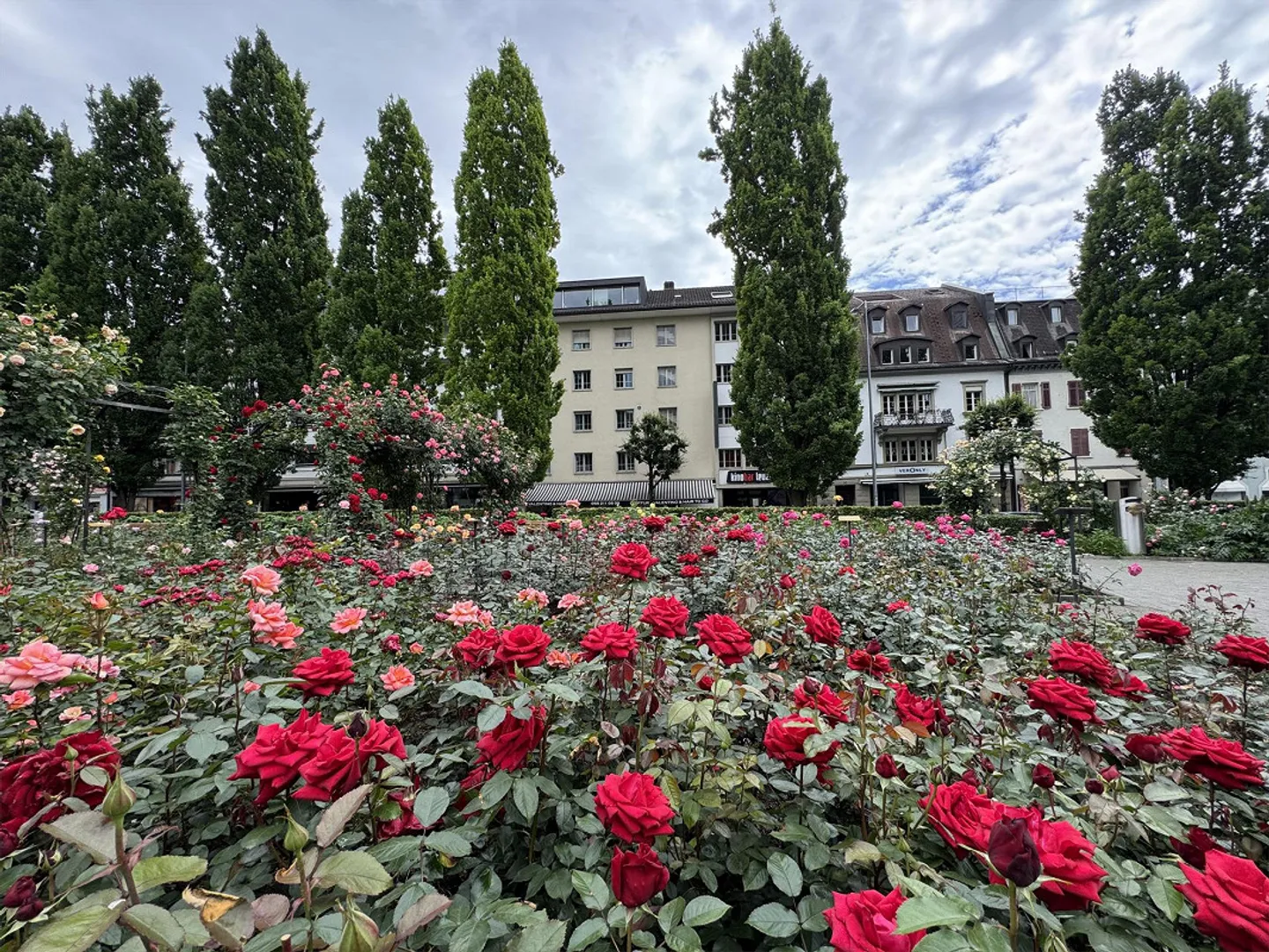 Apartment/Practice/Therapy Room - Photo 7 of 10