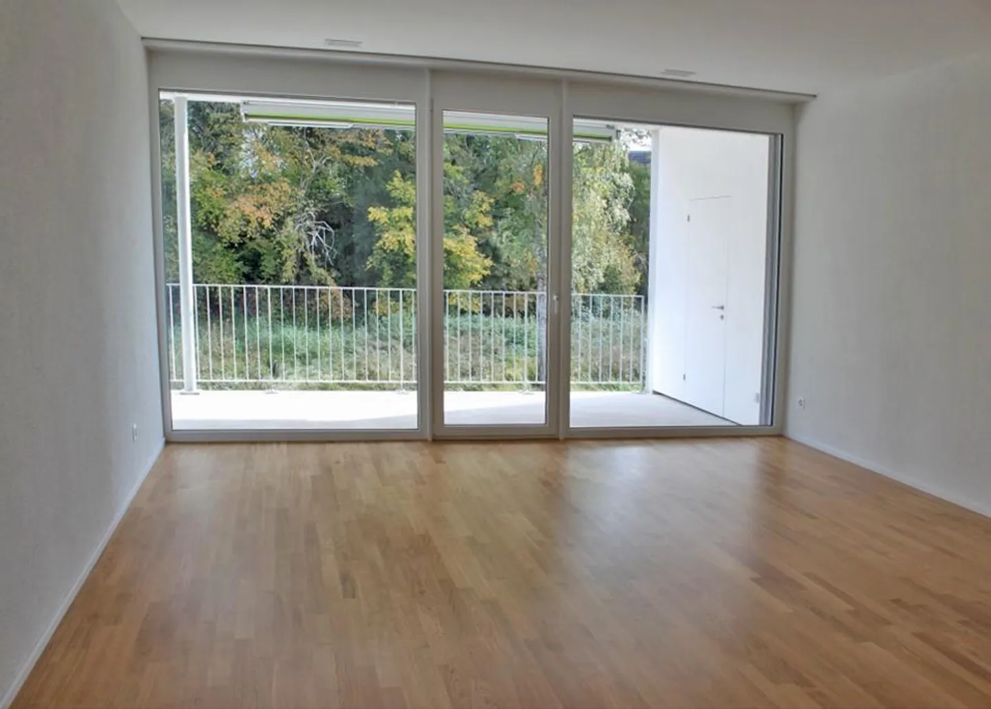 4.5 Room Apartment in Schaffhausen - Photo 3 of 8