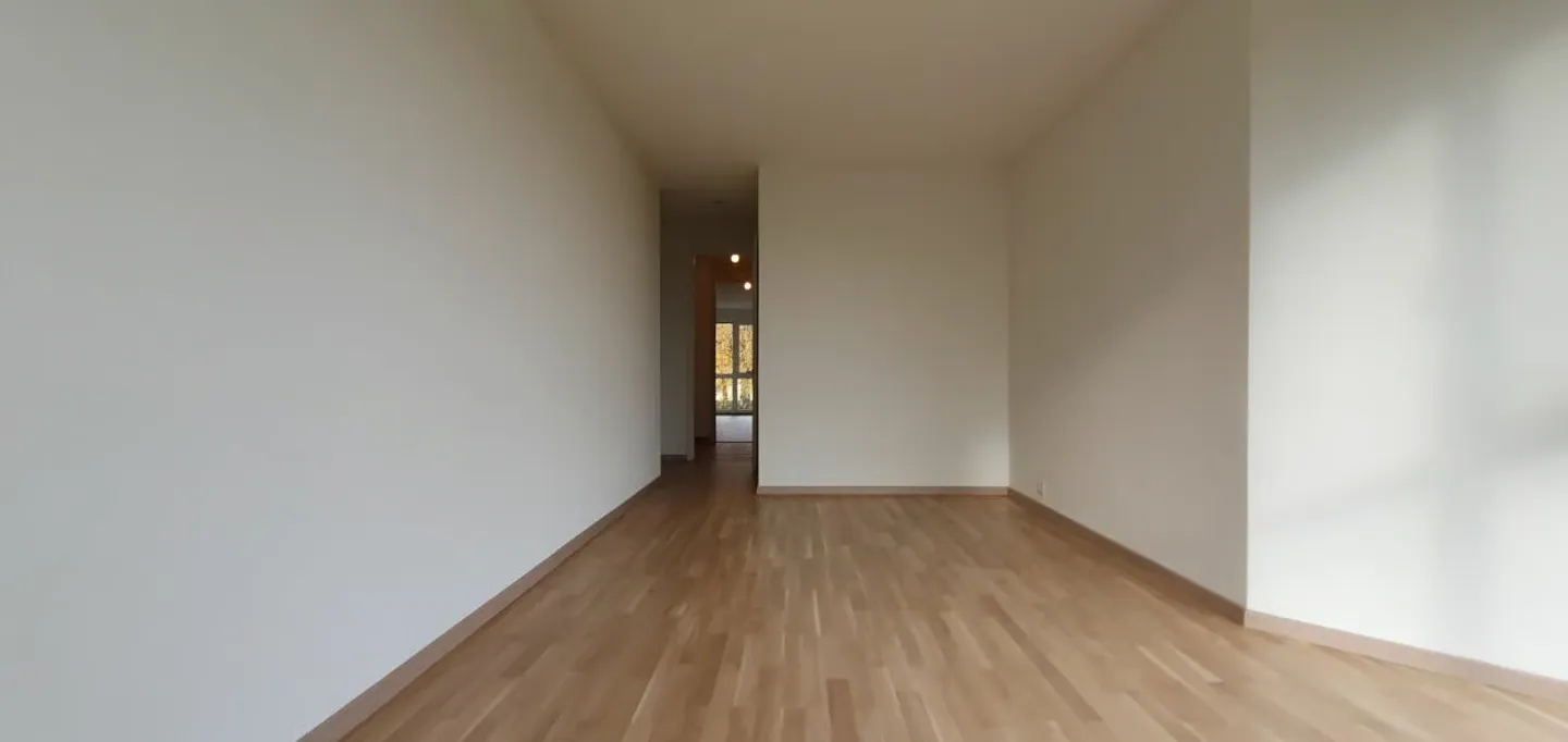 3-room apartment with fireplace and veranda - Photo 6 of 12