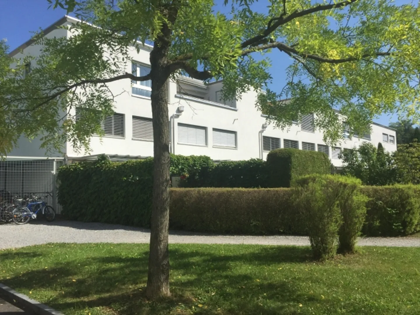 «Ihr neues Zuhause» - Foto 1 von 9