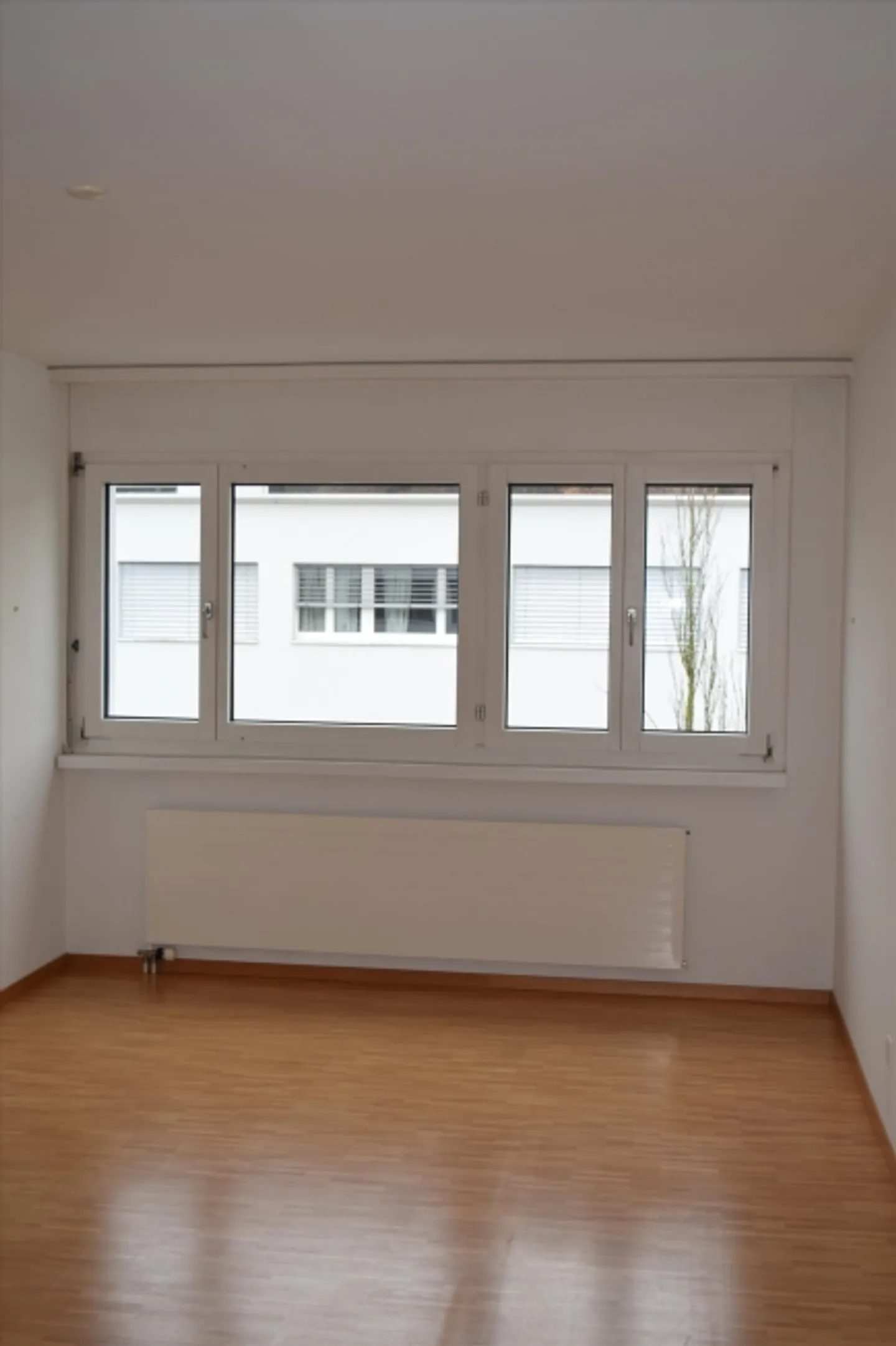 «Ihr neues Zuhause» - Foto 7 von 9