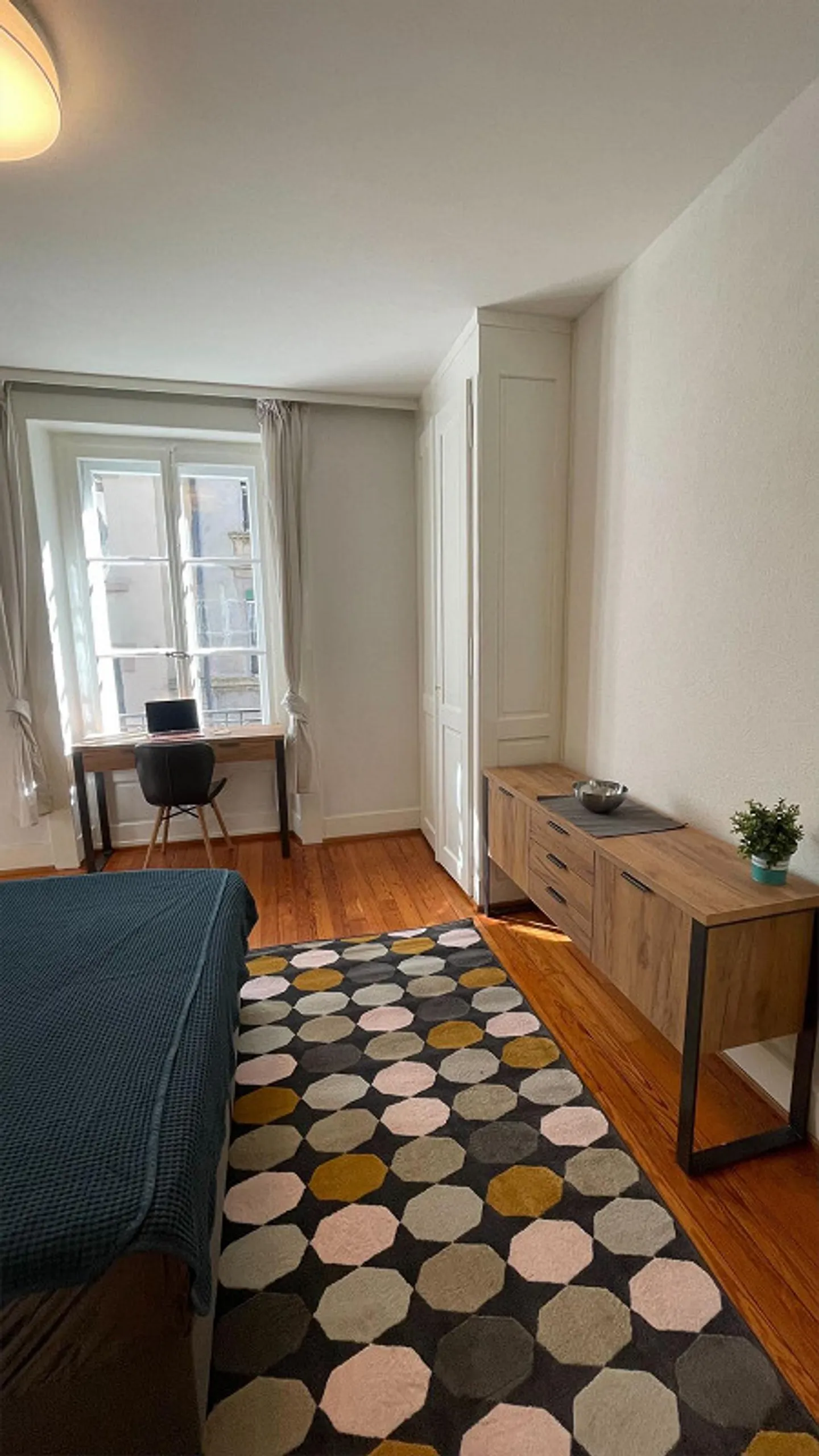 Charming Renovated Apartment in the Center of Lausanne - Photo 2 of 30