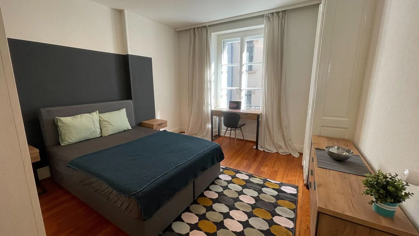 Charming Renovated Apartment in the Center of Lausanne - Photo 8 of 30