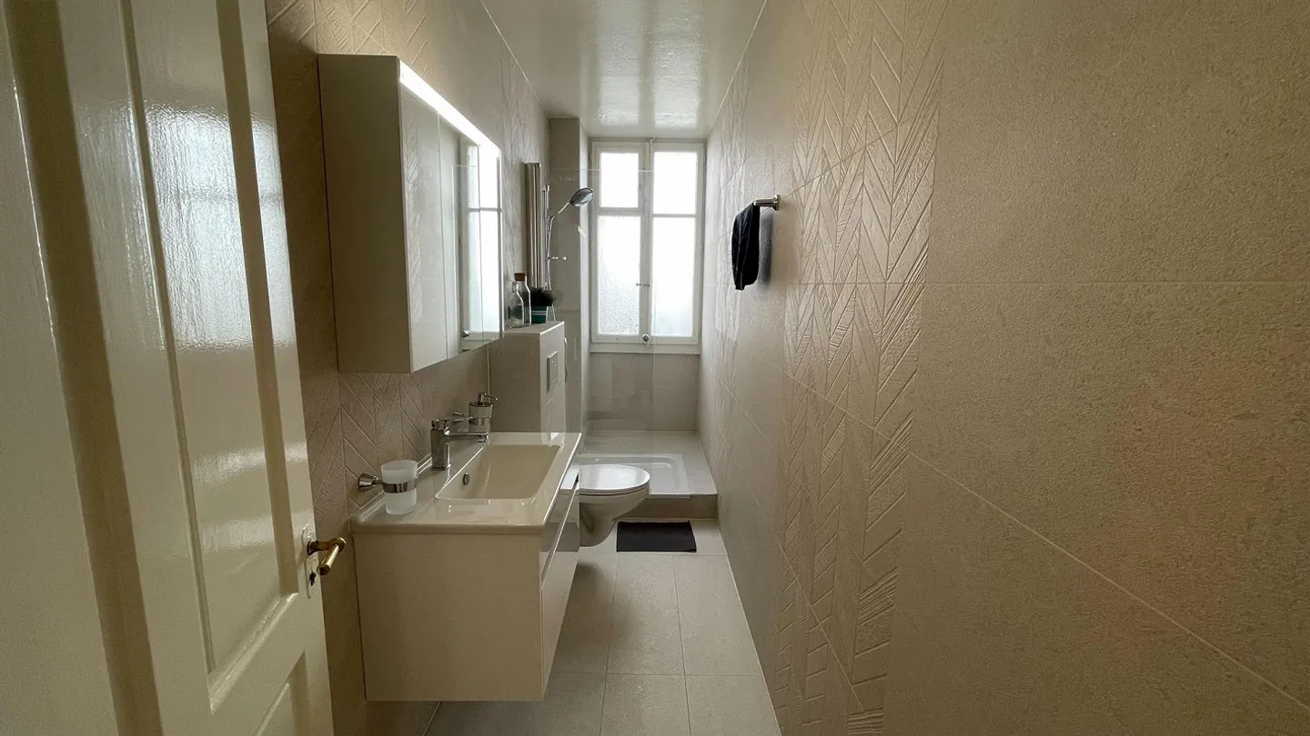 Charming Renovated Apartment in the Center of Lausanne - Photo 23 of 30