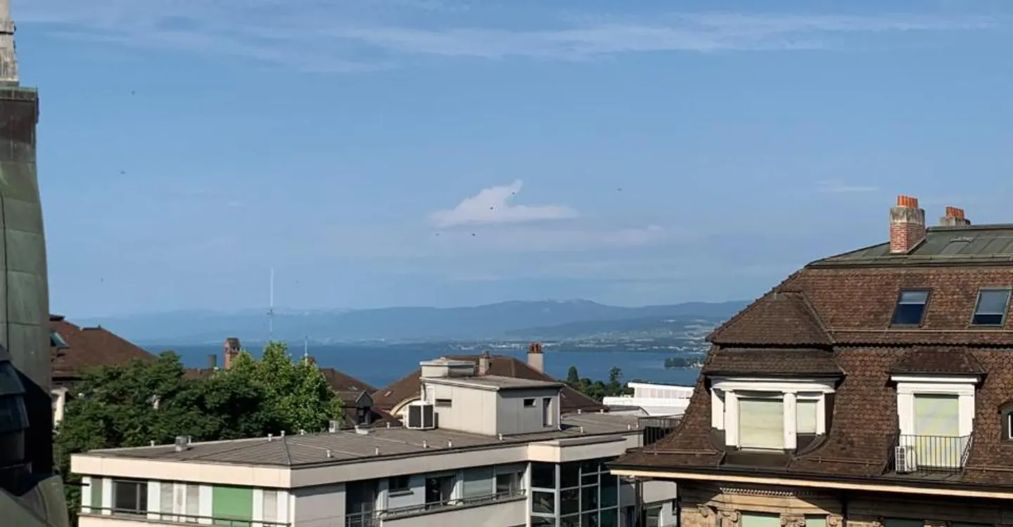 Très bel appartement avec beaucoup de cachet, spacieux et lumineux bénéficiant d'une belle échappée sur le lac - Photo 7 of 7