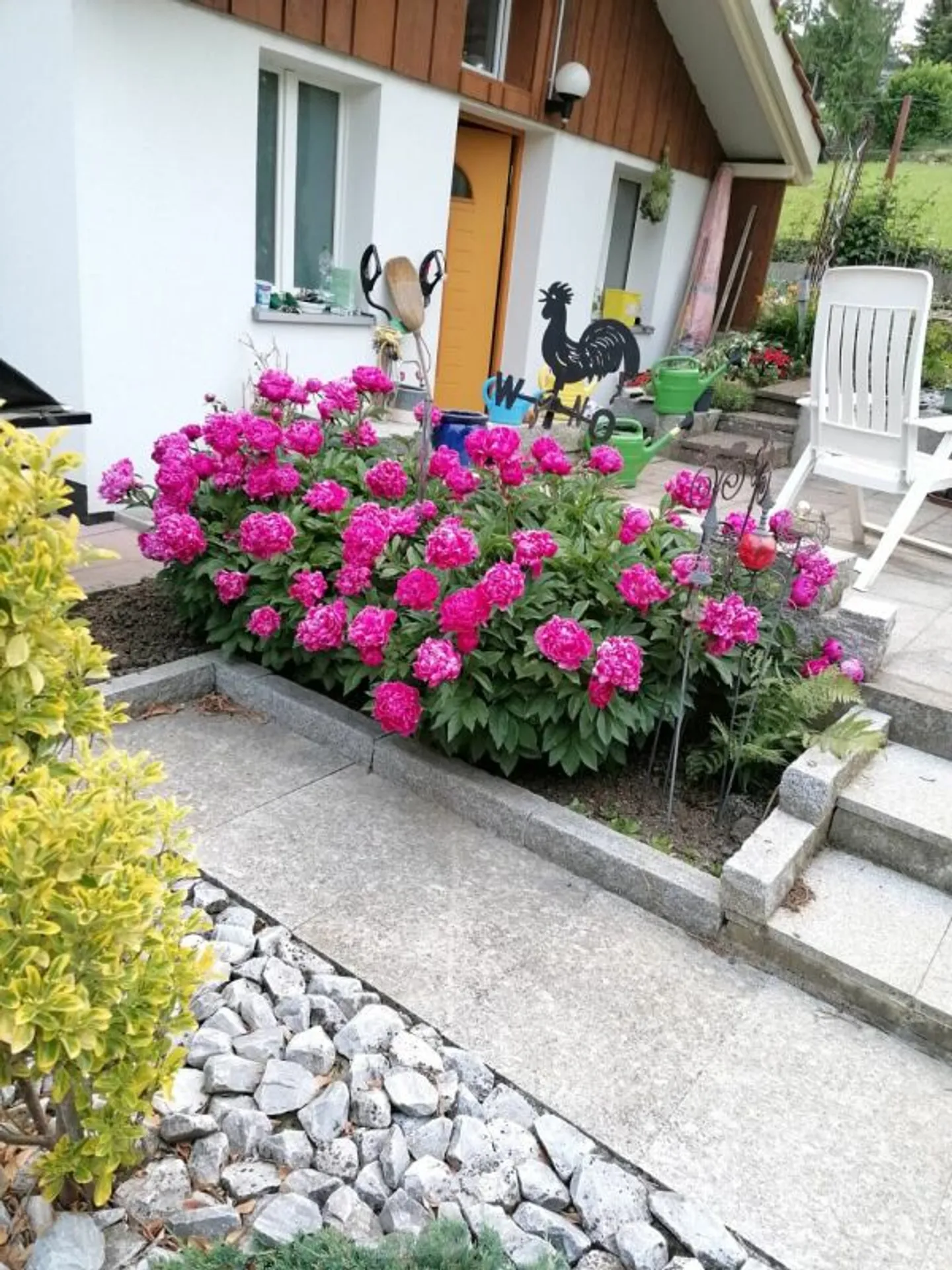 Einfamilienhaus in freier Natur mit riesigem Garten - Foto 3 von 12