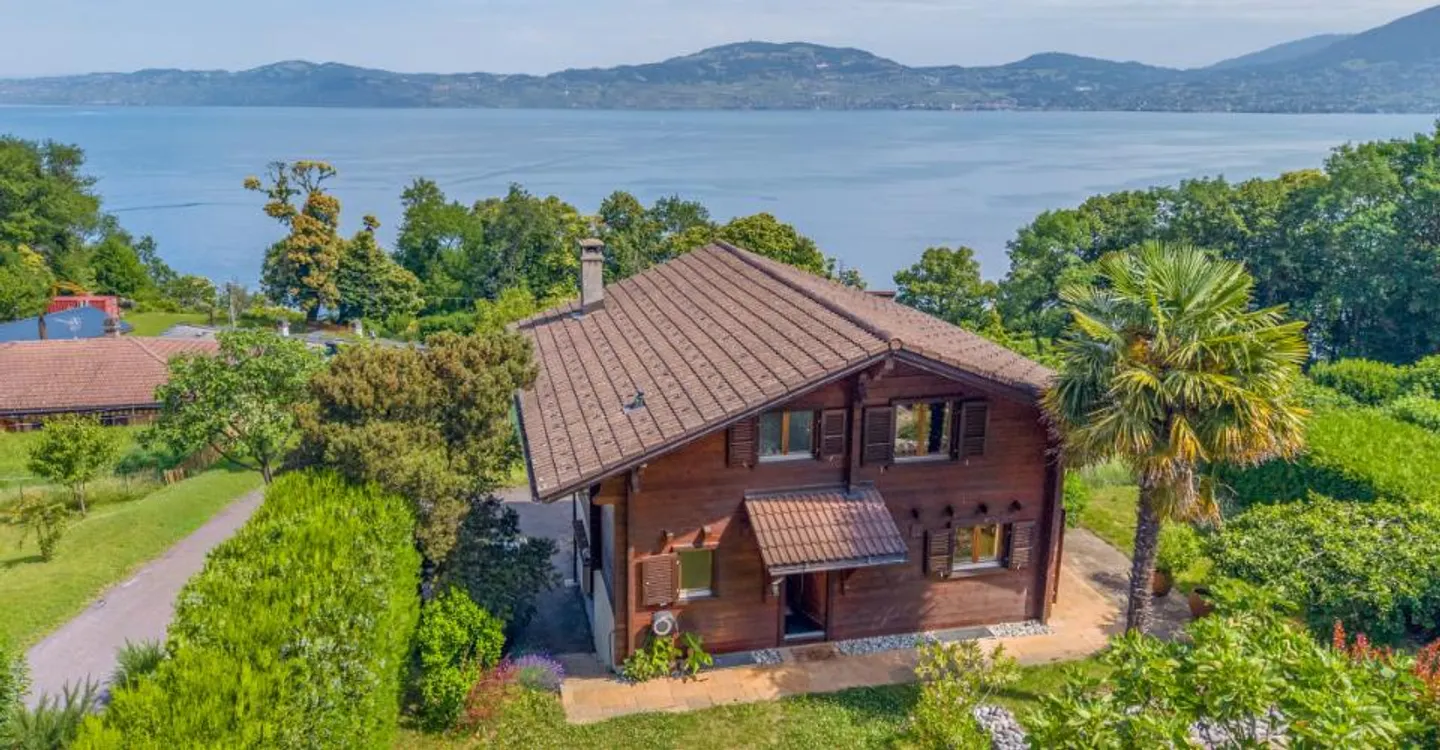 UN PANORAMA D'EXCEPTION SUR LE LÉMAN - Foto 1 di 7