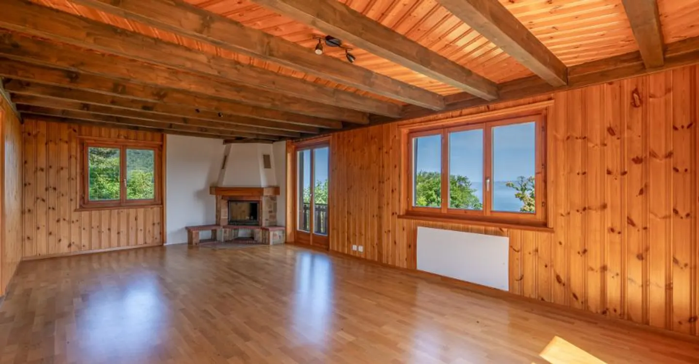 UN PANORAMA D'EXCEPTION SUR LE LÉMAN - Foto 3 di 7