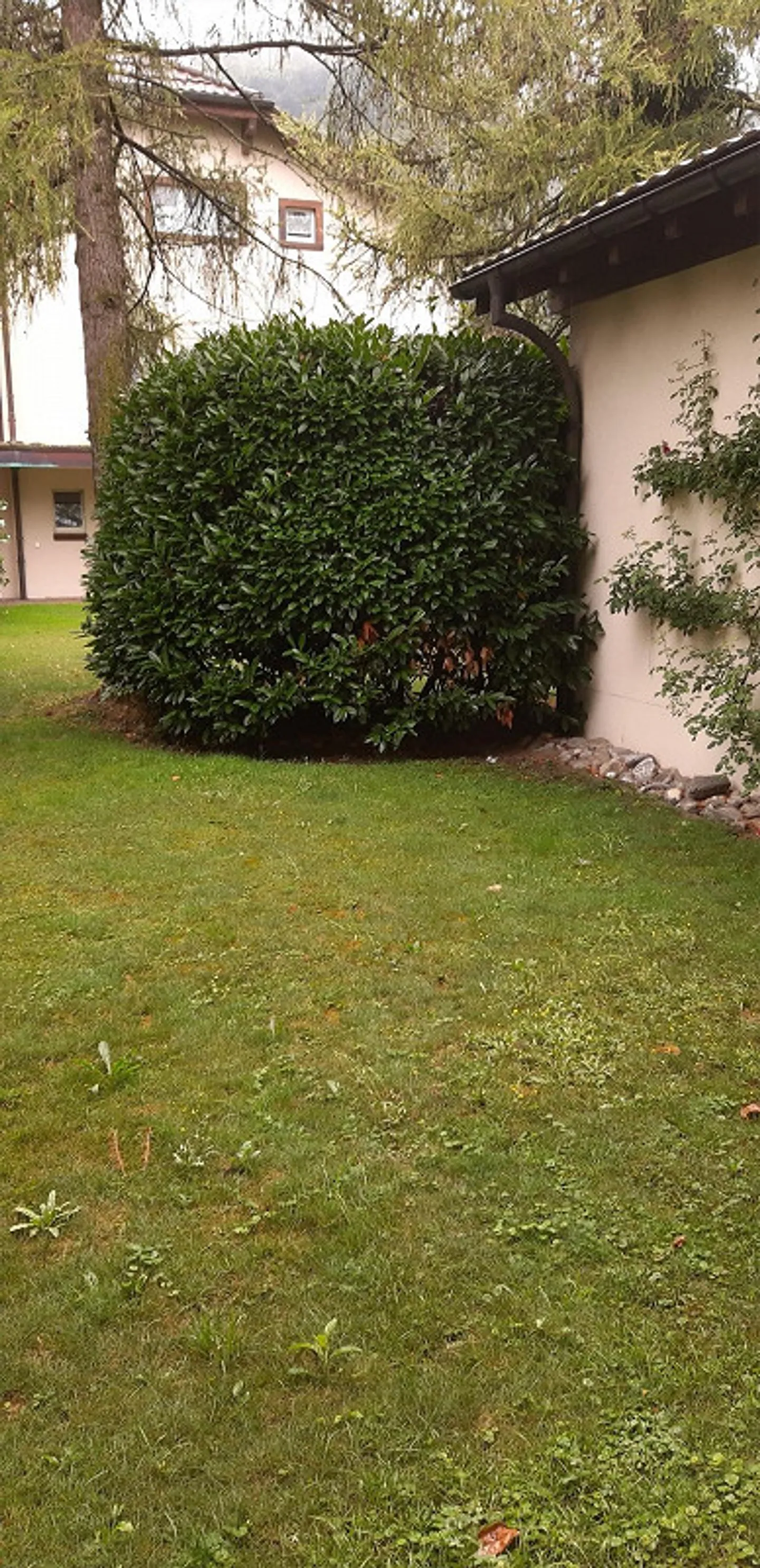 Appartamento 1 1/2 camere con area giardino - Foto 1 di 9