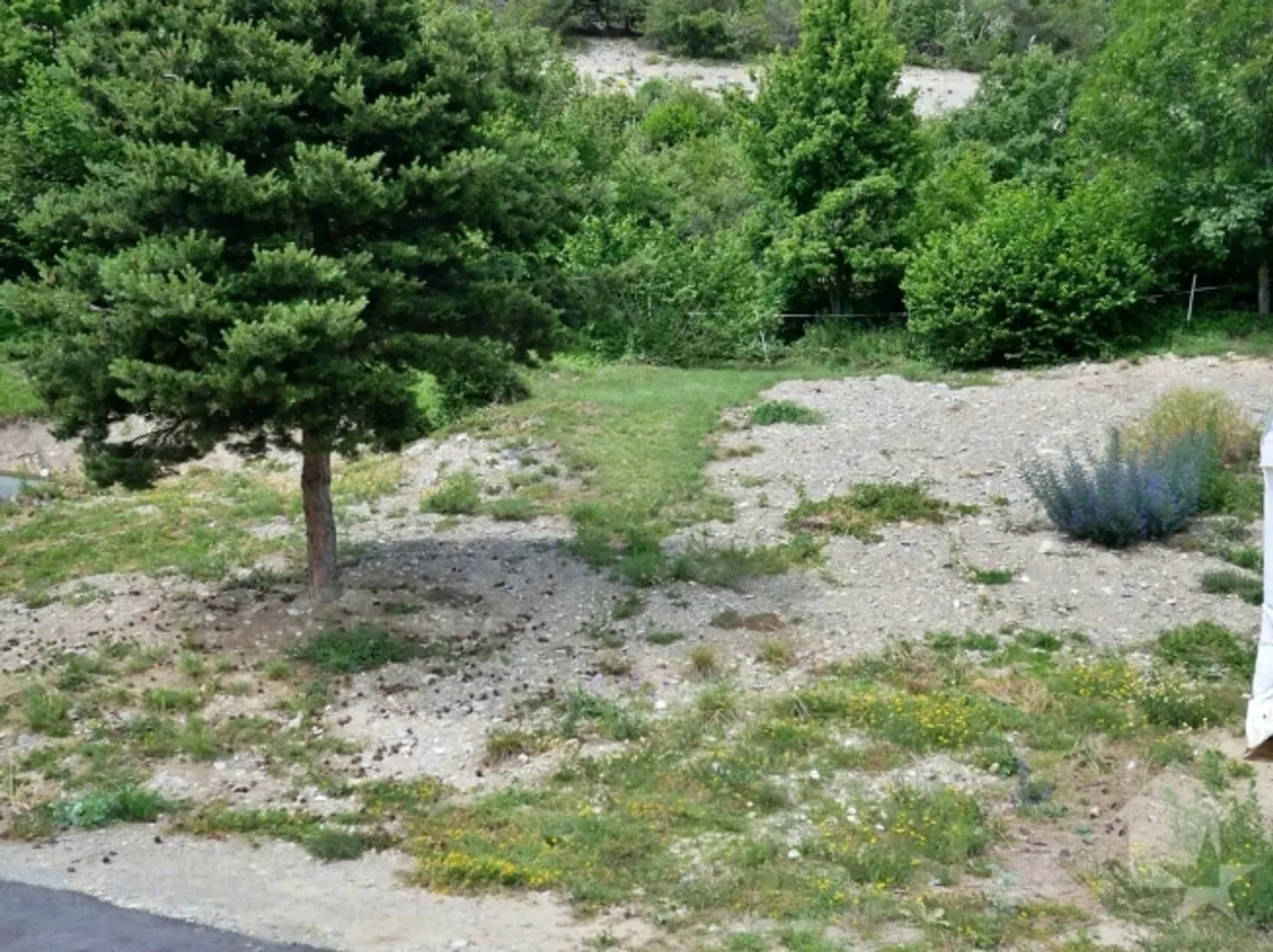 «Schönes Grundstück von 589 m2 mit herrlichem Blick auf die Walliser Alpen» - Foto 1 von 4
