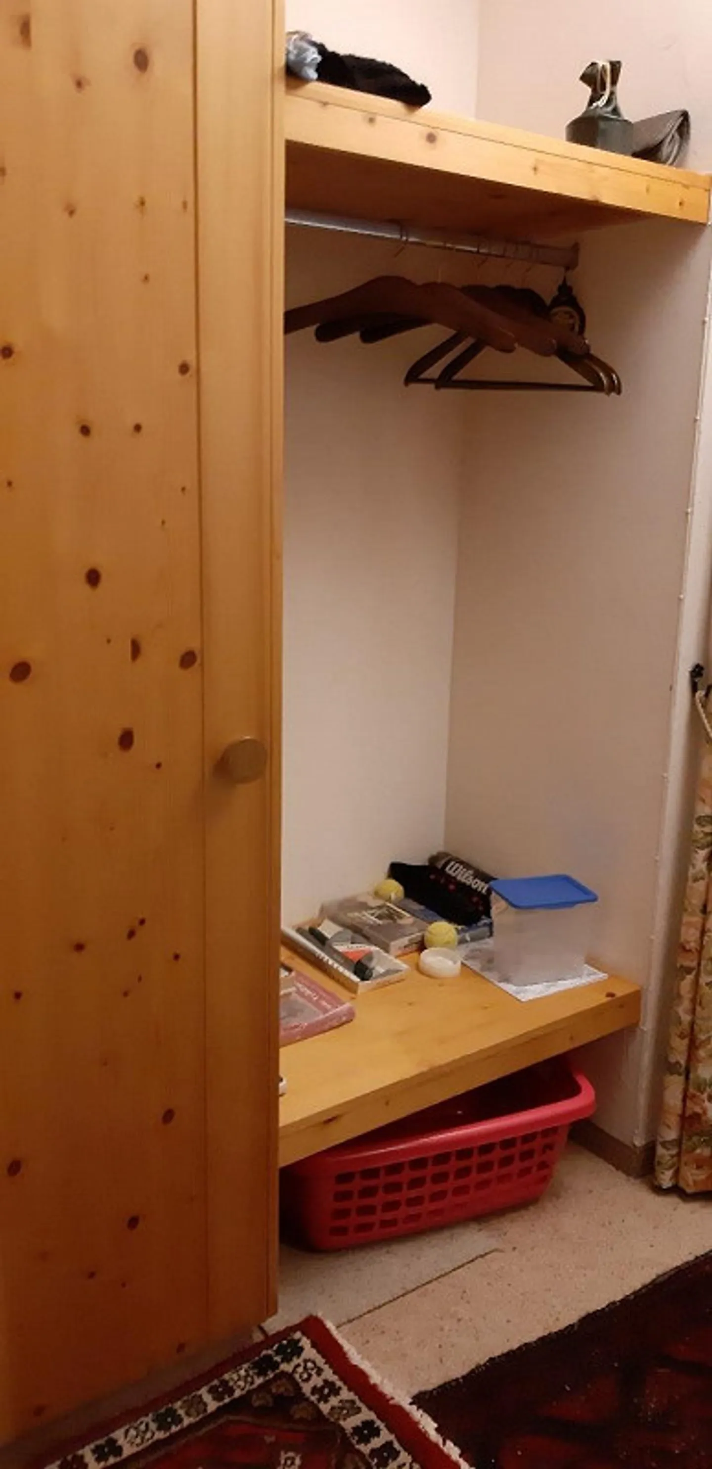 Appartamento 1 1/2 camere con area giardino - Foto 8 di 9