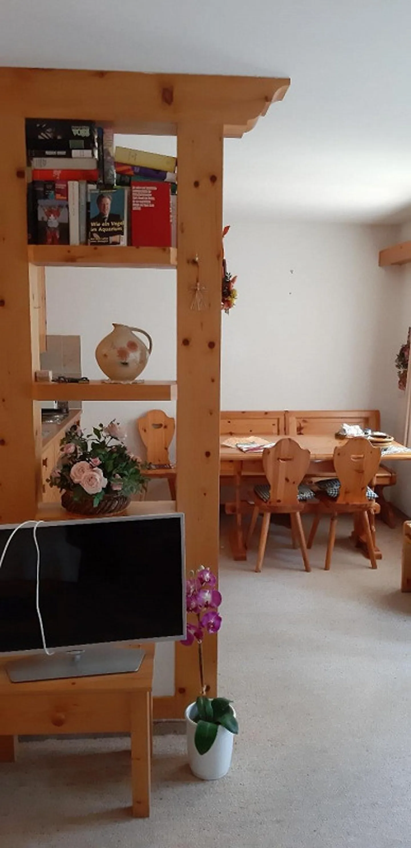 Appartamento 1 1/2 camere con area giardino - Foto 5 di 9