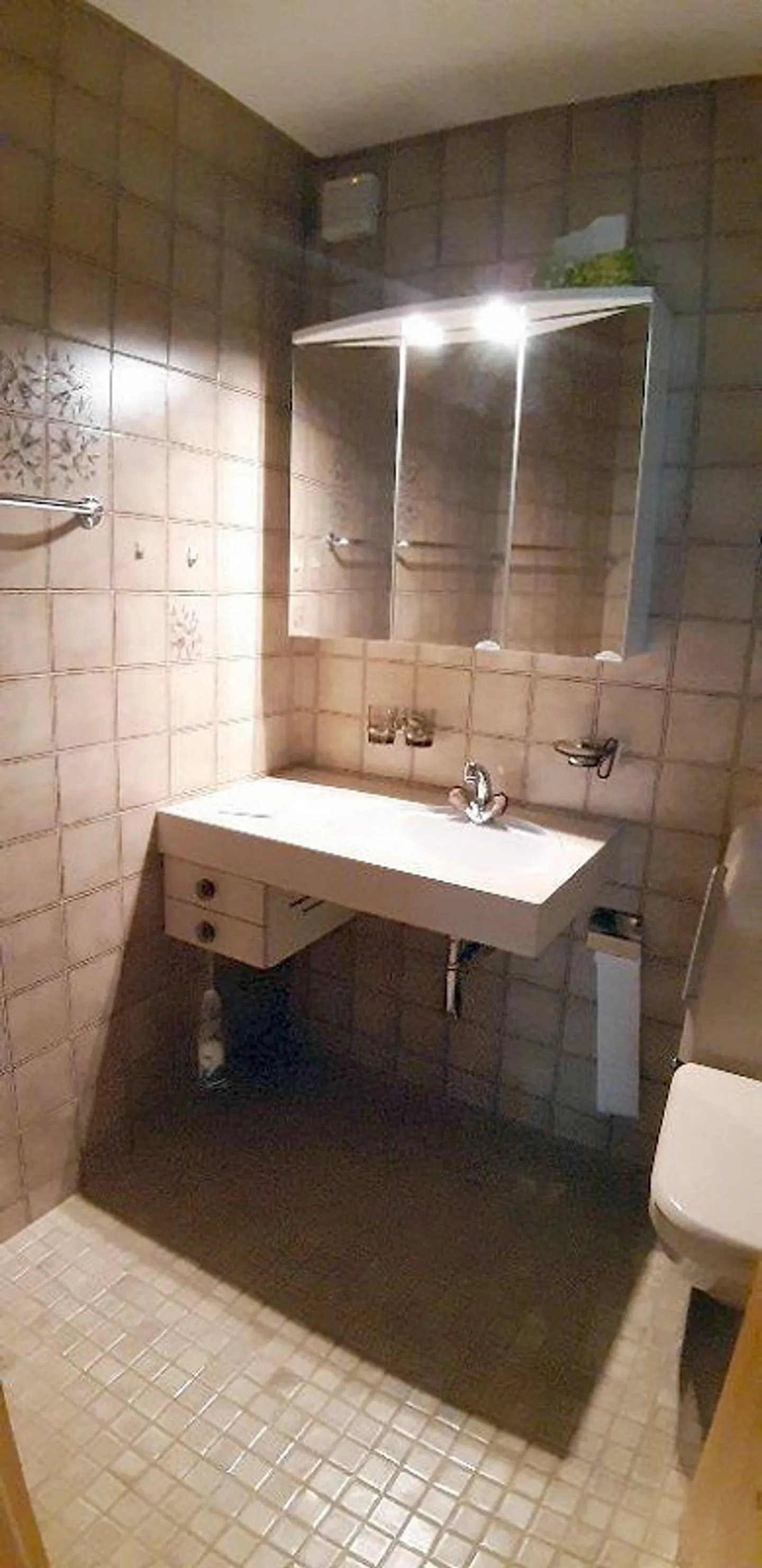 Appartamento 1 1/2 camere con area giardino - Foto 6 di 9