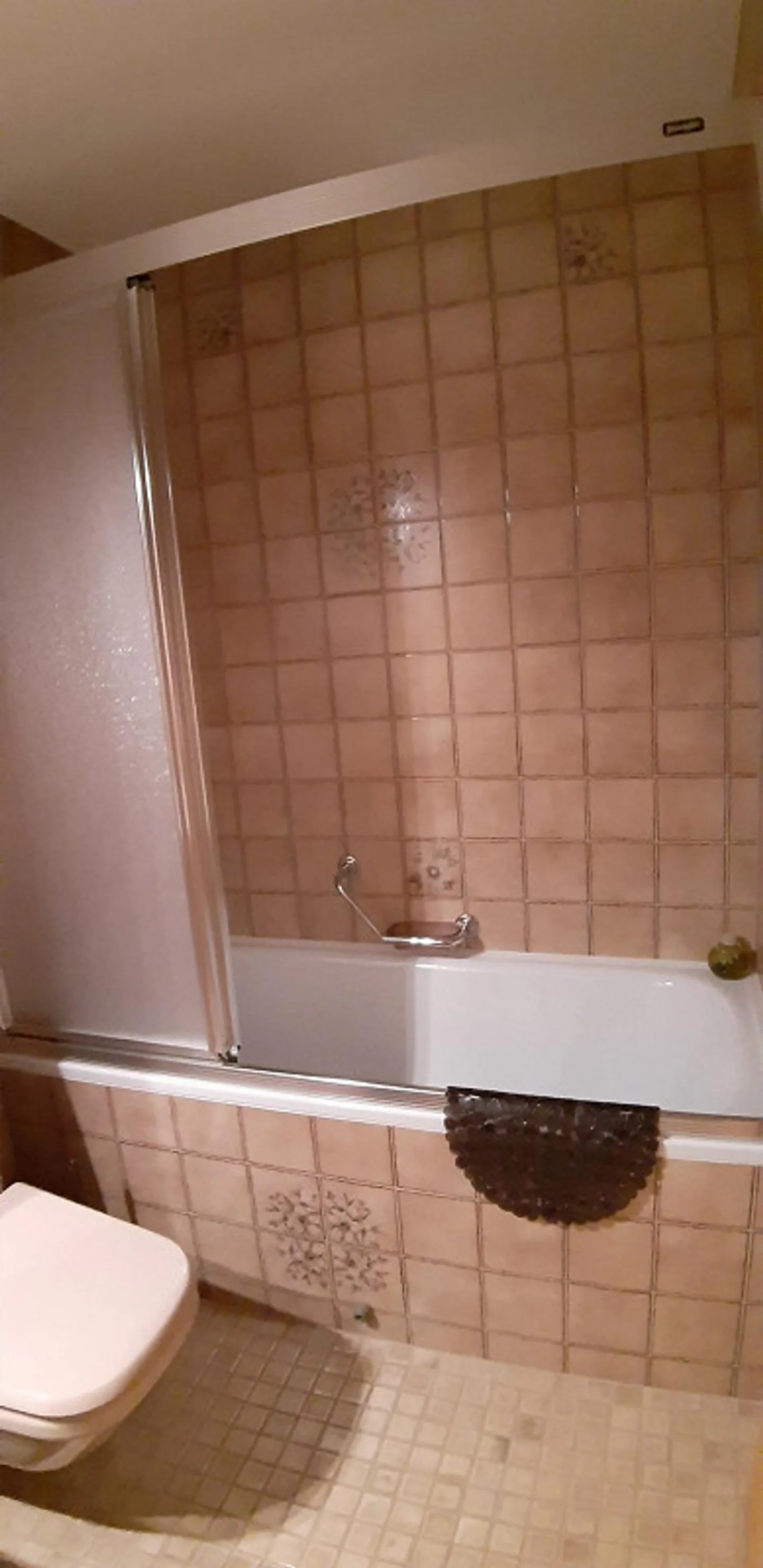 Appartamento 1 1/2 camere con area giardino - Foto 7 di 9