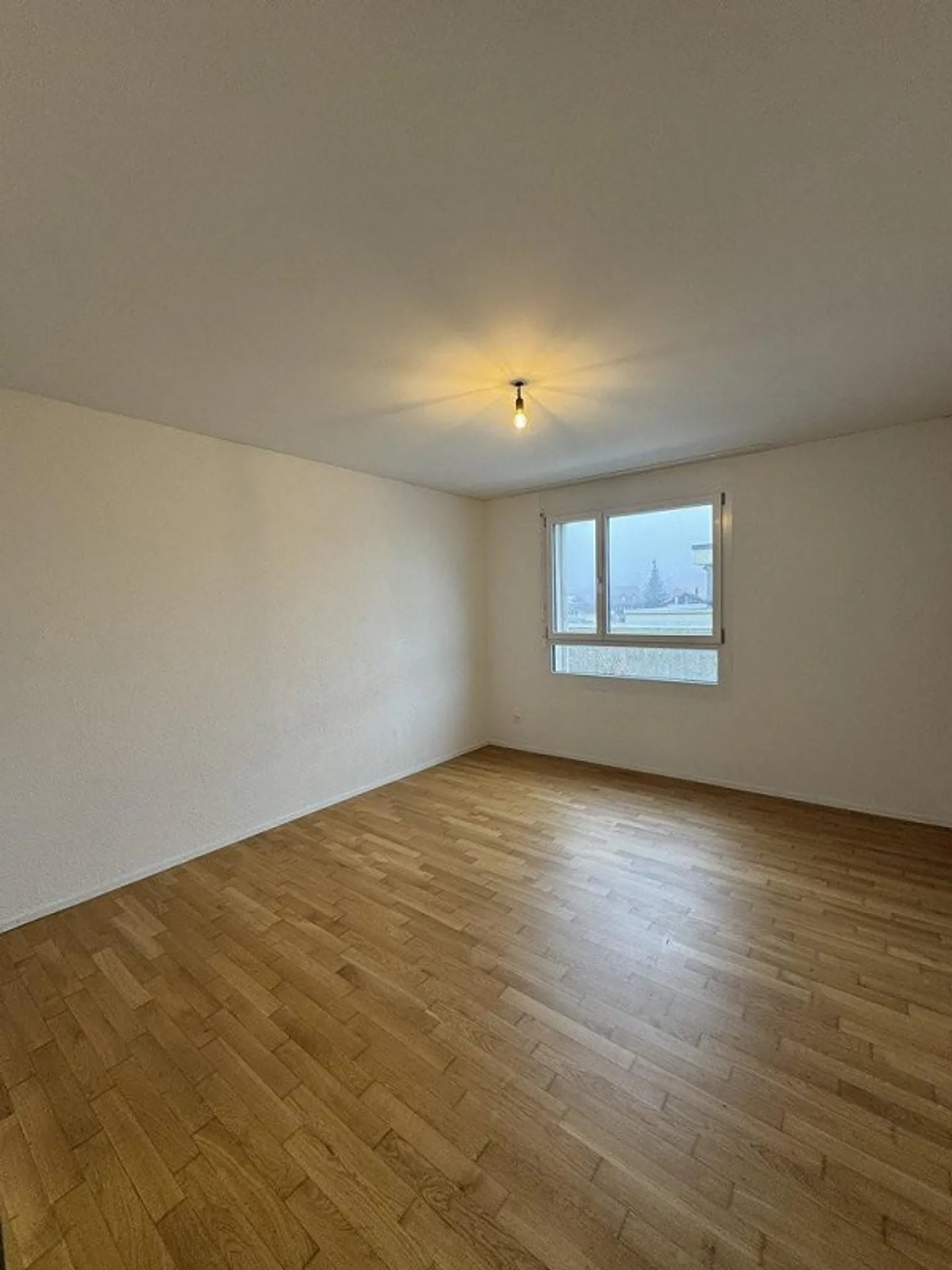 Modern Living in the Green - Photo 3 of 8