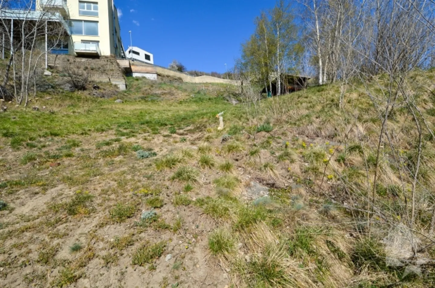 Magnifico terreno edificabile per case unifamiliari - Foto 4 di 7