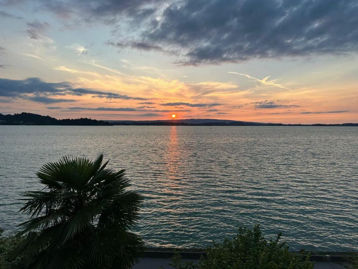 Casa a schiera angolare 4½ locali con galleria, vasca idromassaggio e camino - rara opportunità sul lago di Zugo - Foto 12 di 12