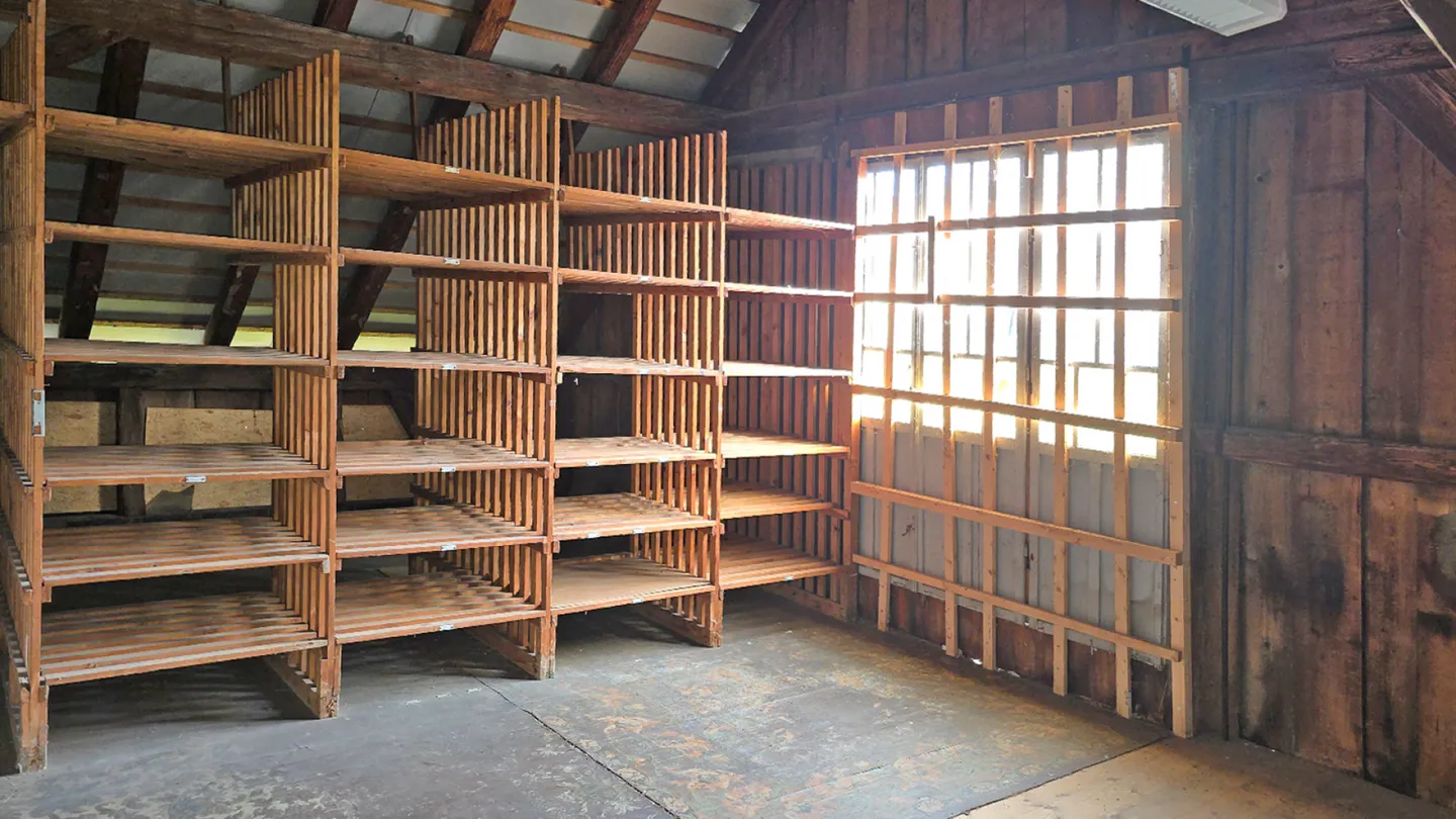 Ladenlokal beim Boulevard - Foto 7 von 7