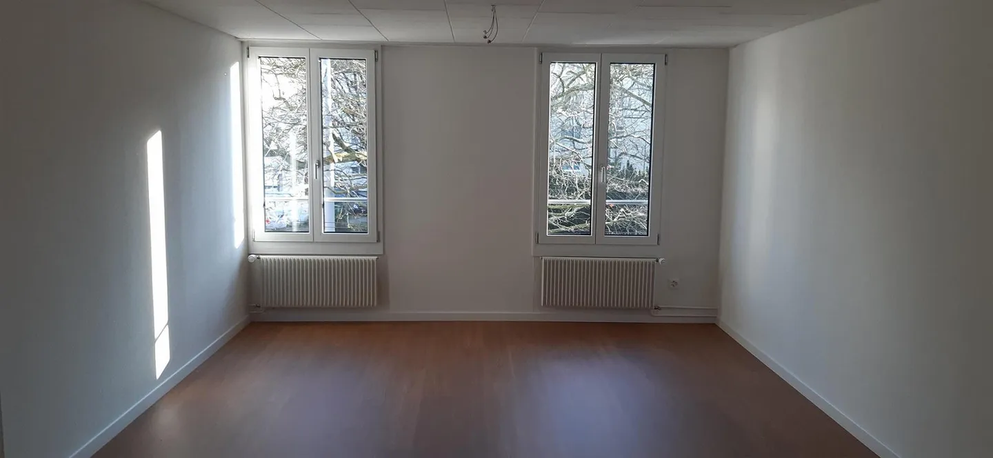 Appartamento 3.5 stanze in affitto - Foto 3 di 7