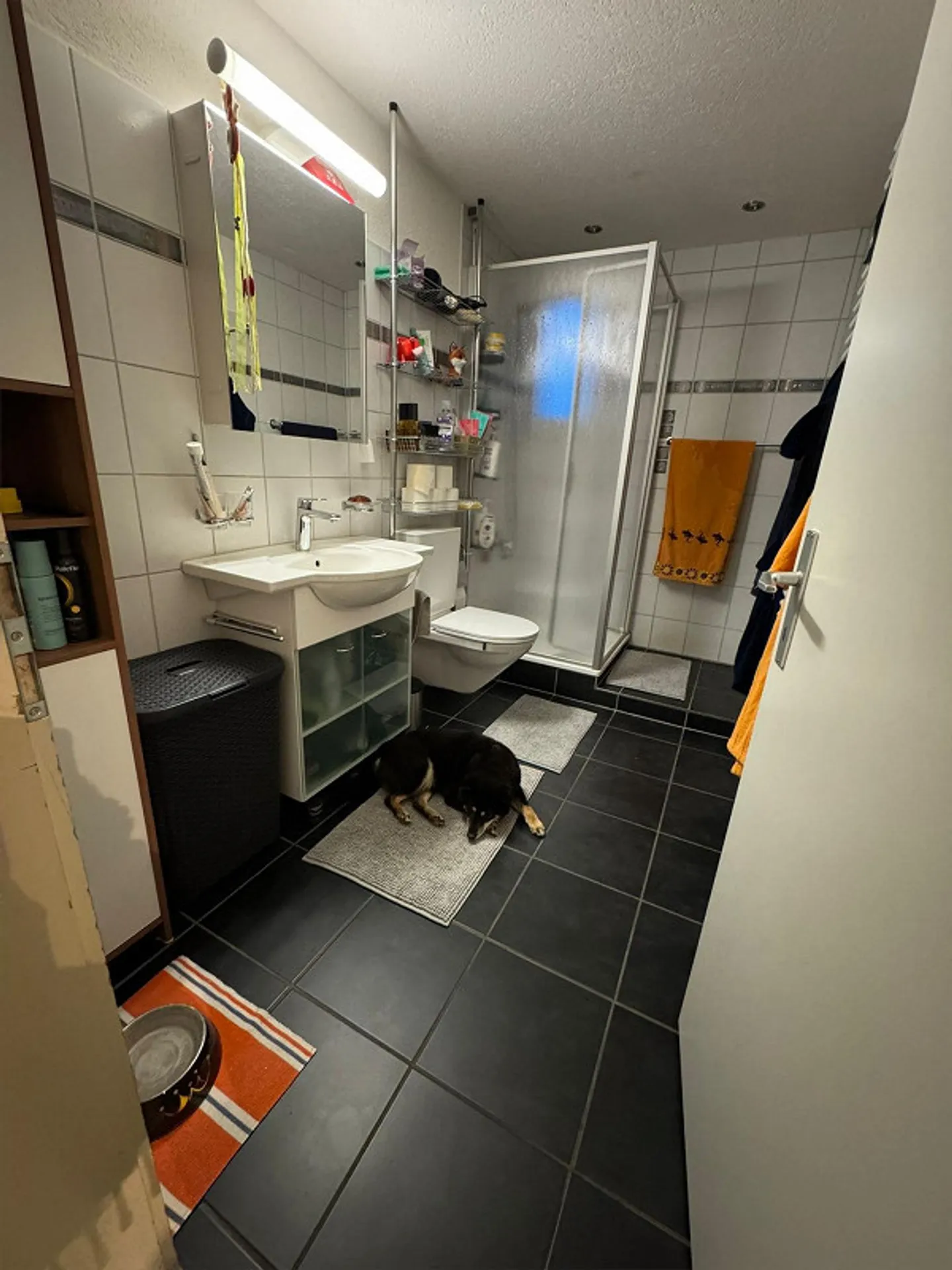 Grosse schöne Wohnung mit viel Platz - Foto 9 von 14