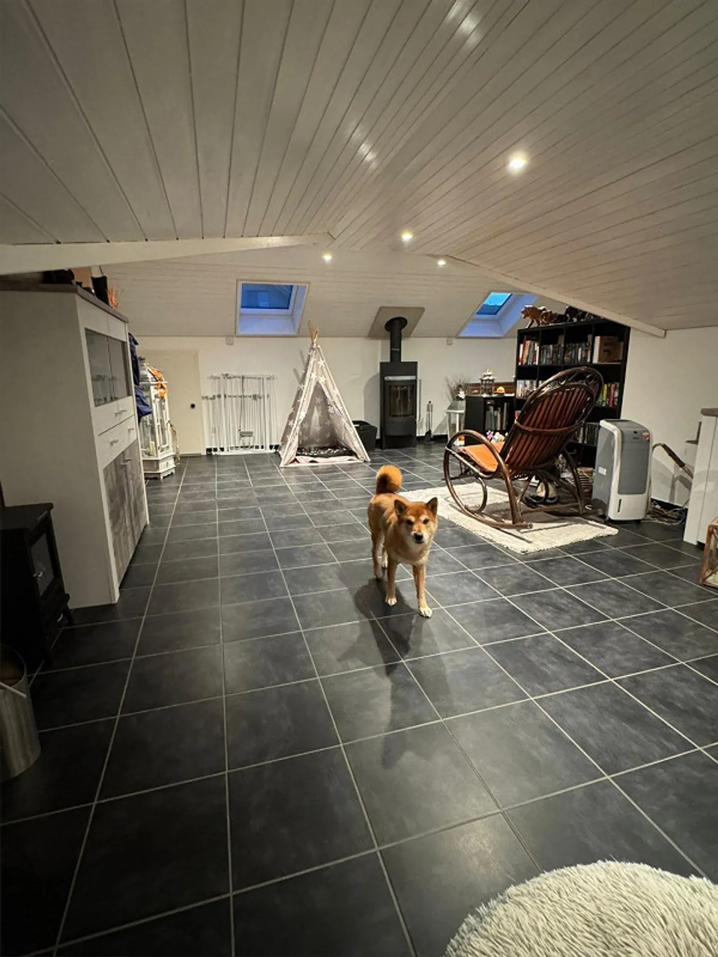 Grosse schöne Wohnung mit viel Platz - Foto 5 von 14