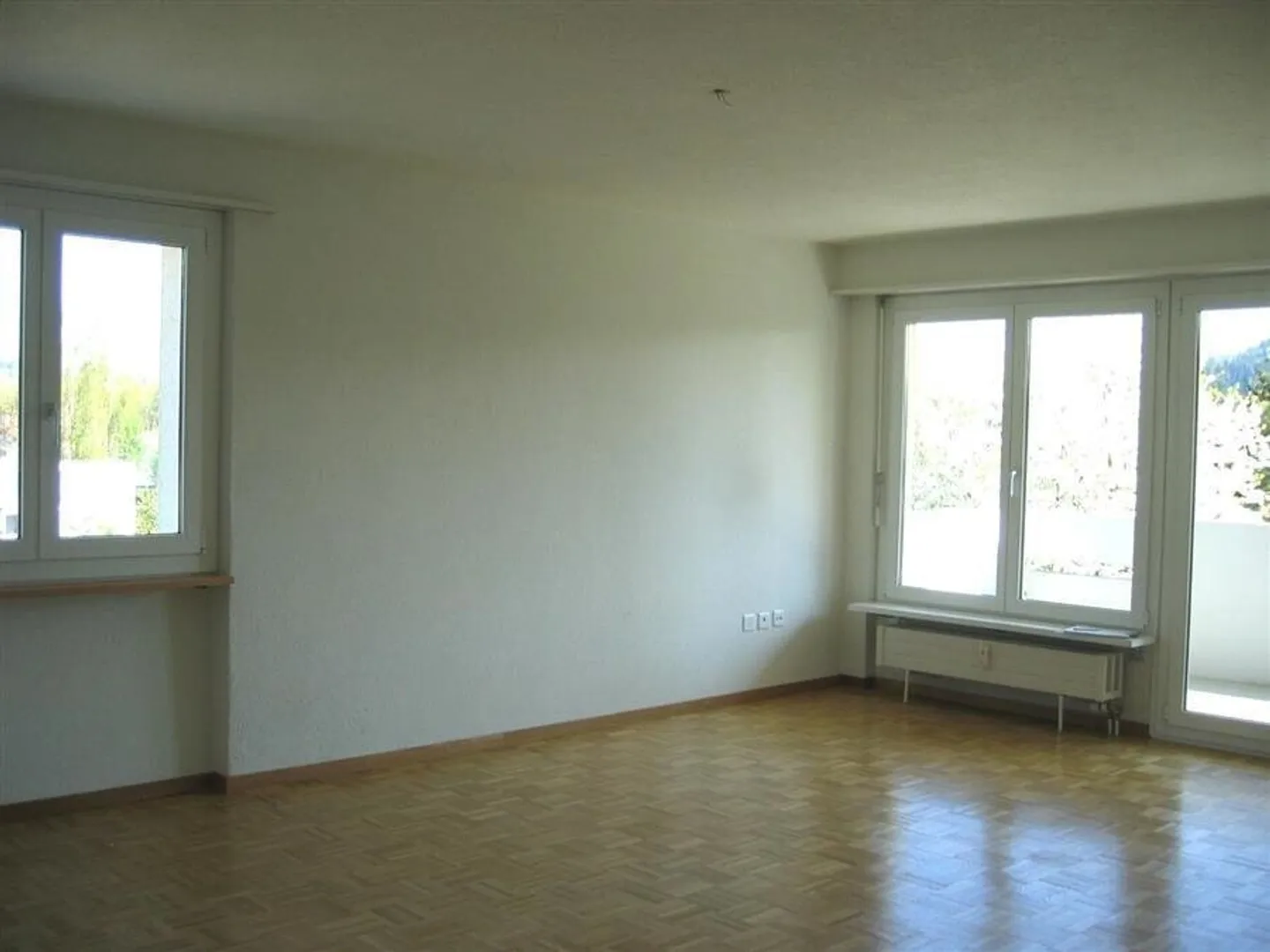 Apartment seeks single - Photo 2 of 6