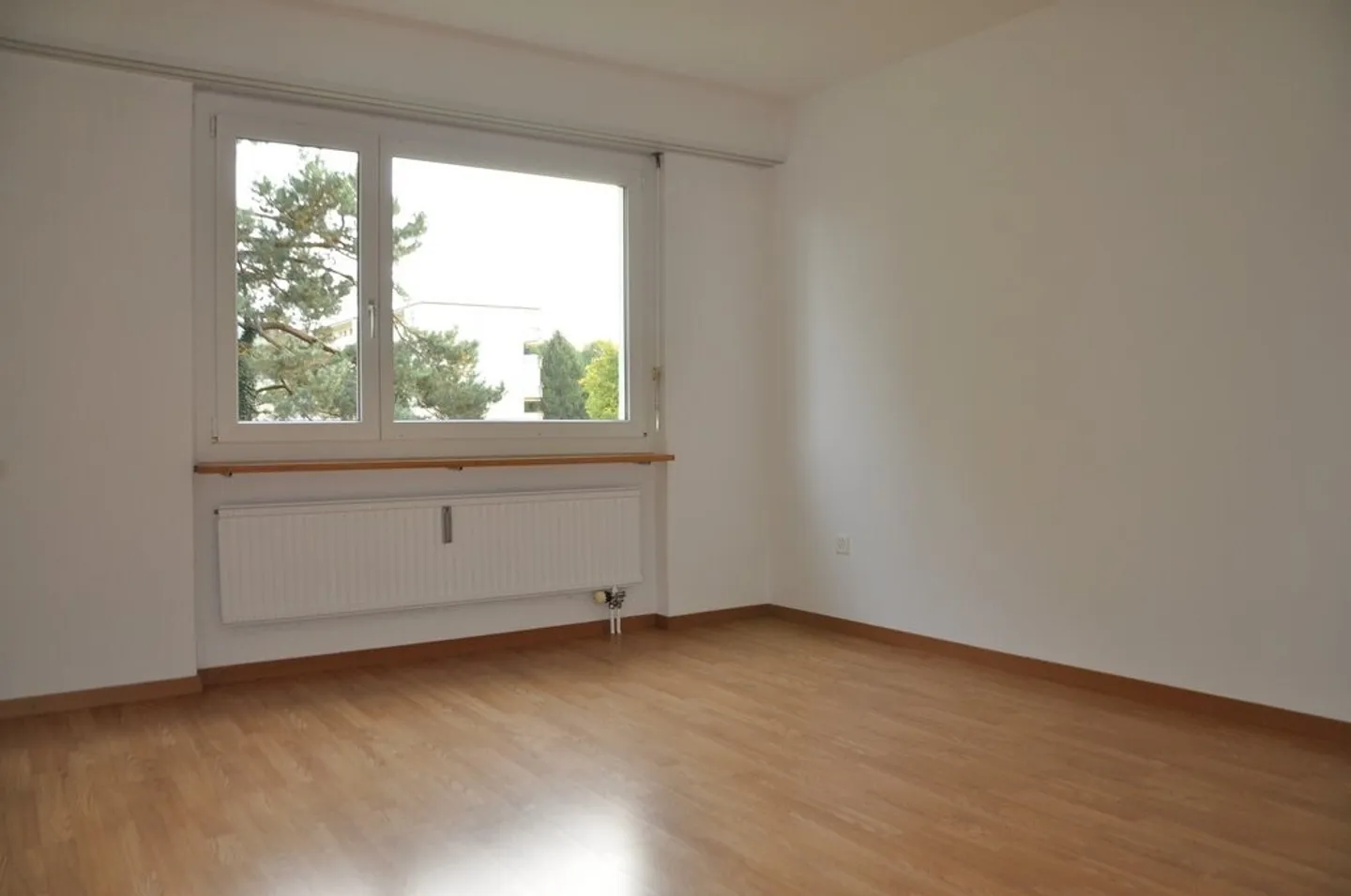 Apartment seeks single - Photo 3 of 6