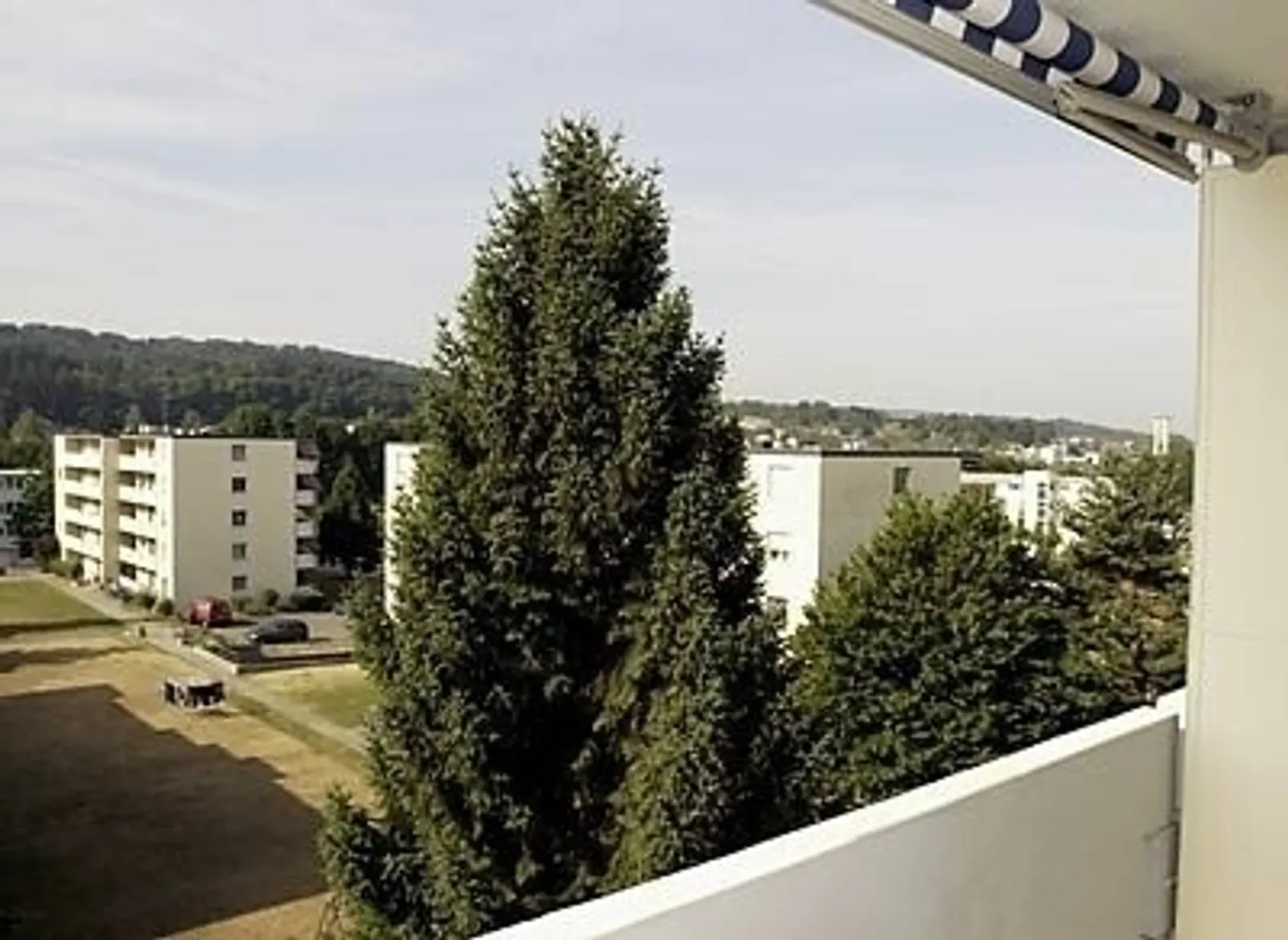 Apartment seeks single - Photo 6 of 6